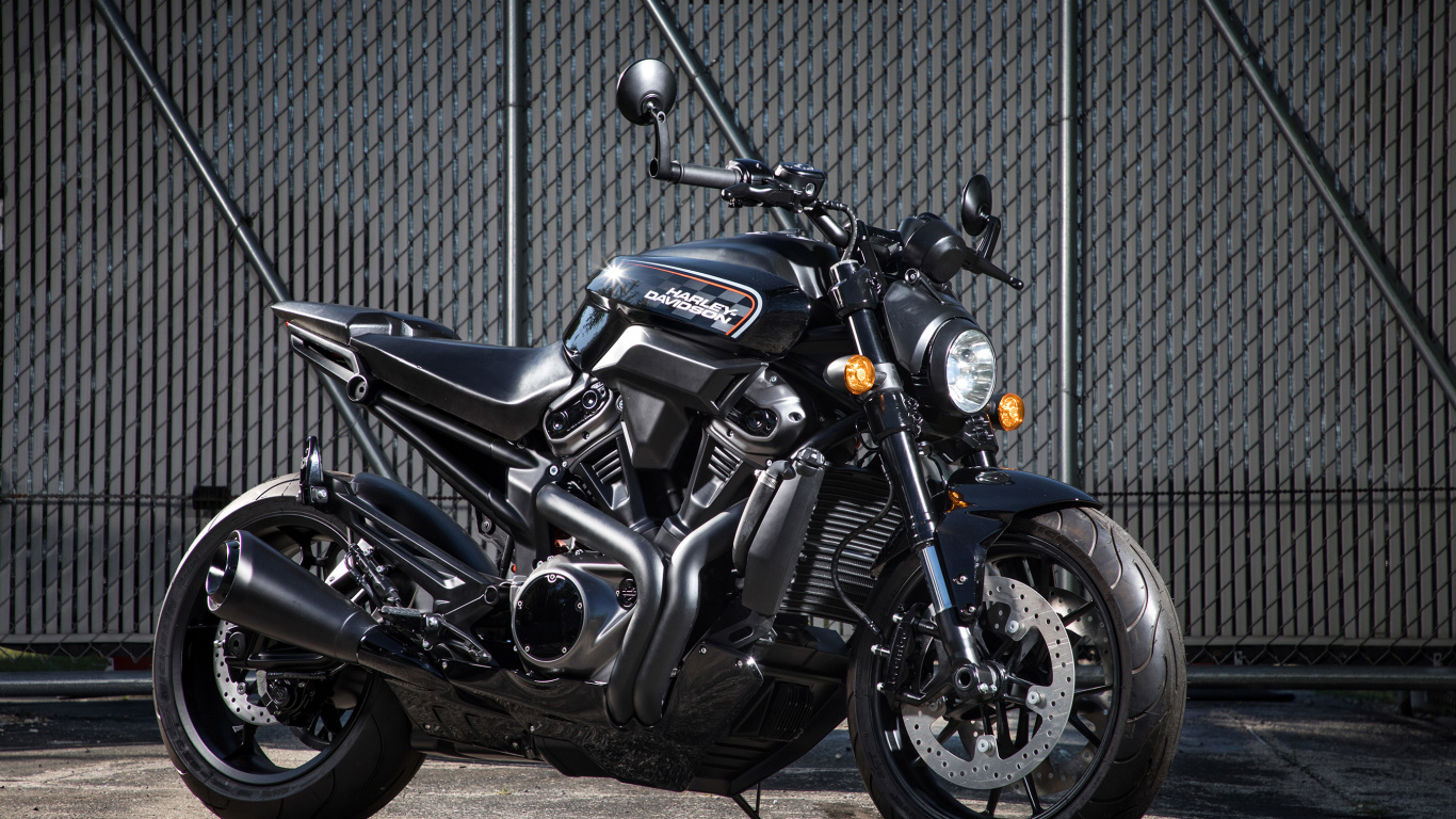 Обои боец Харли Дэвидсон стрит, стритфайтер, мотоцикл, Харлей-Дэвидсон Пан Америка, автомобильные шины в разрешении 1366x768