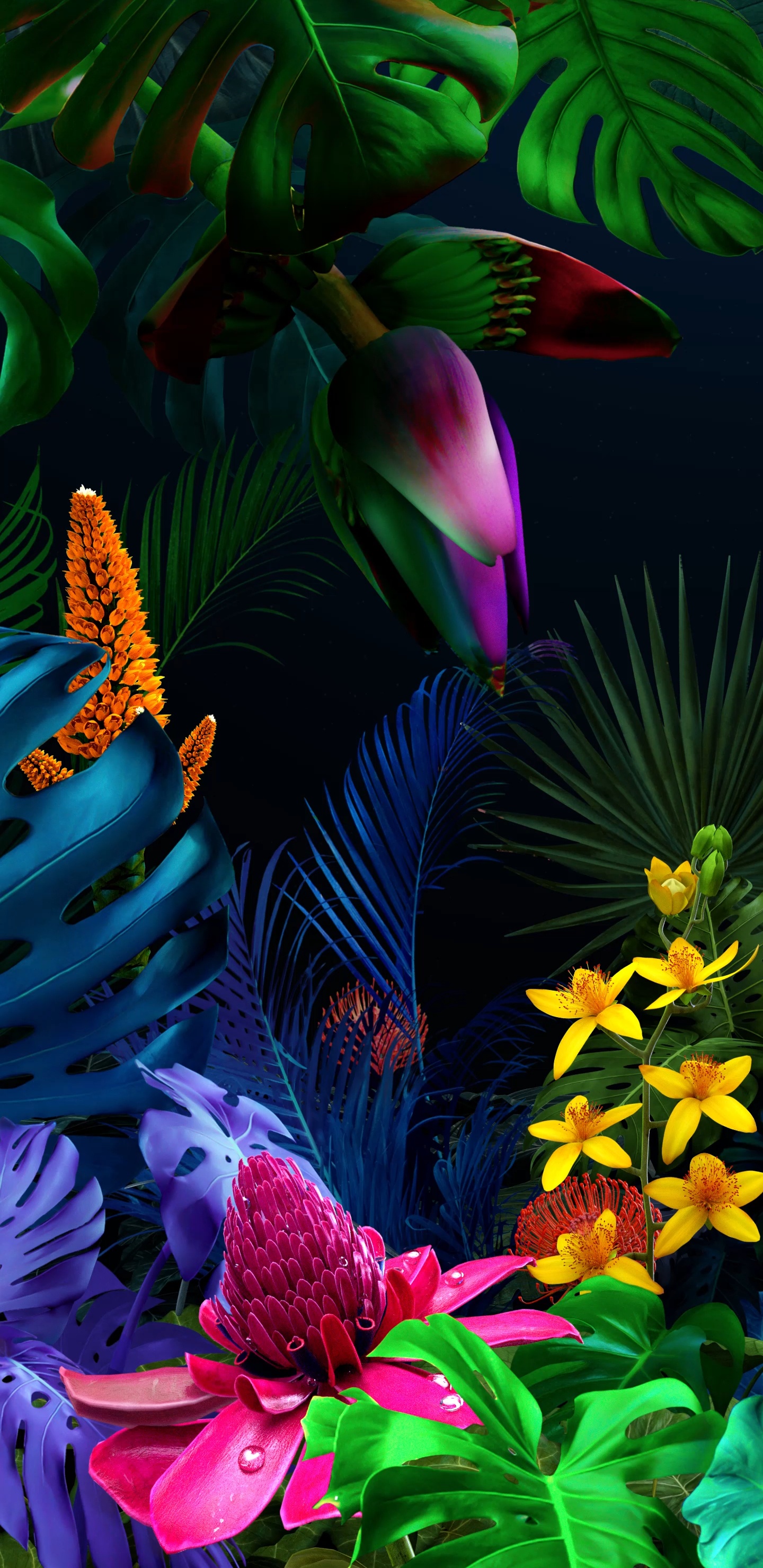 Обои LG, LG G8 ThinQ, смартфон, андроид, лепесток в разрешении 1440x2960