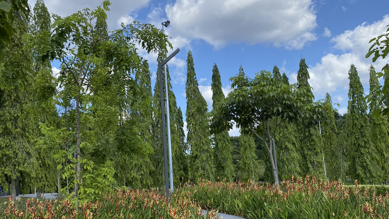 Обои природа, облако, ботаники, наземное растение, сад в разрешении 1366x768