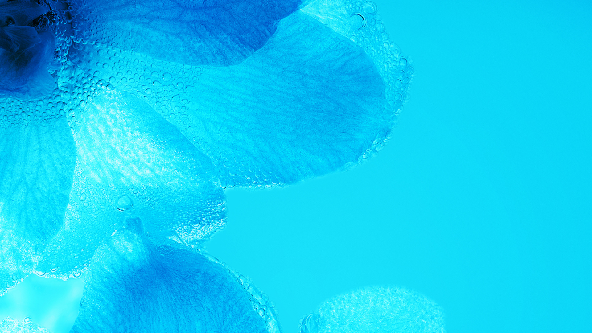 Обои Huawei, Huawei Nova, Huawei Nova 3, huawei nova 3i, huawei nova 3e в разрешении 1920x1080