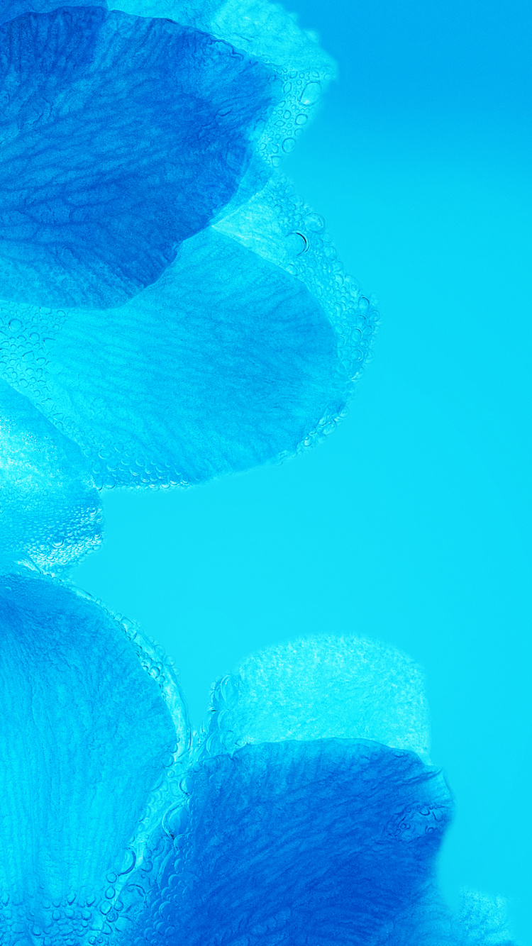 Обои Huawei, Huawei Nova, Huawei Nova 3, huawei nova 3i, huawei nova 3e в разрешении 750x1334