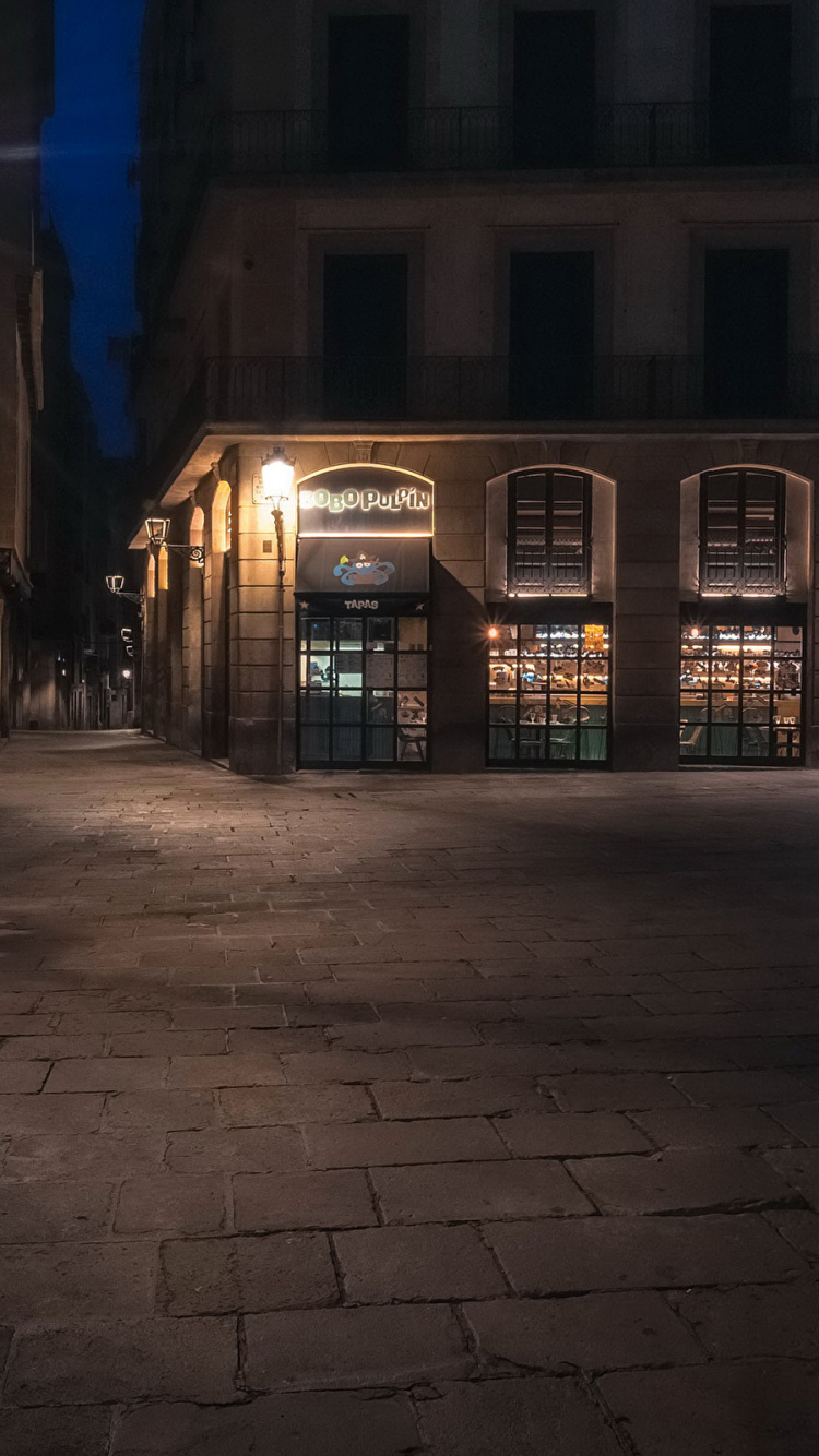 Обои Барселона, ночь, свет, улица, темнота в разрешении 750x1334