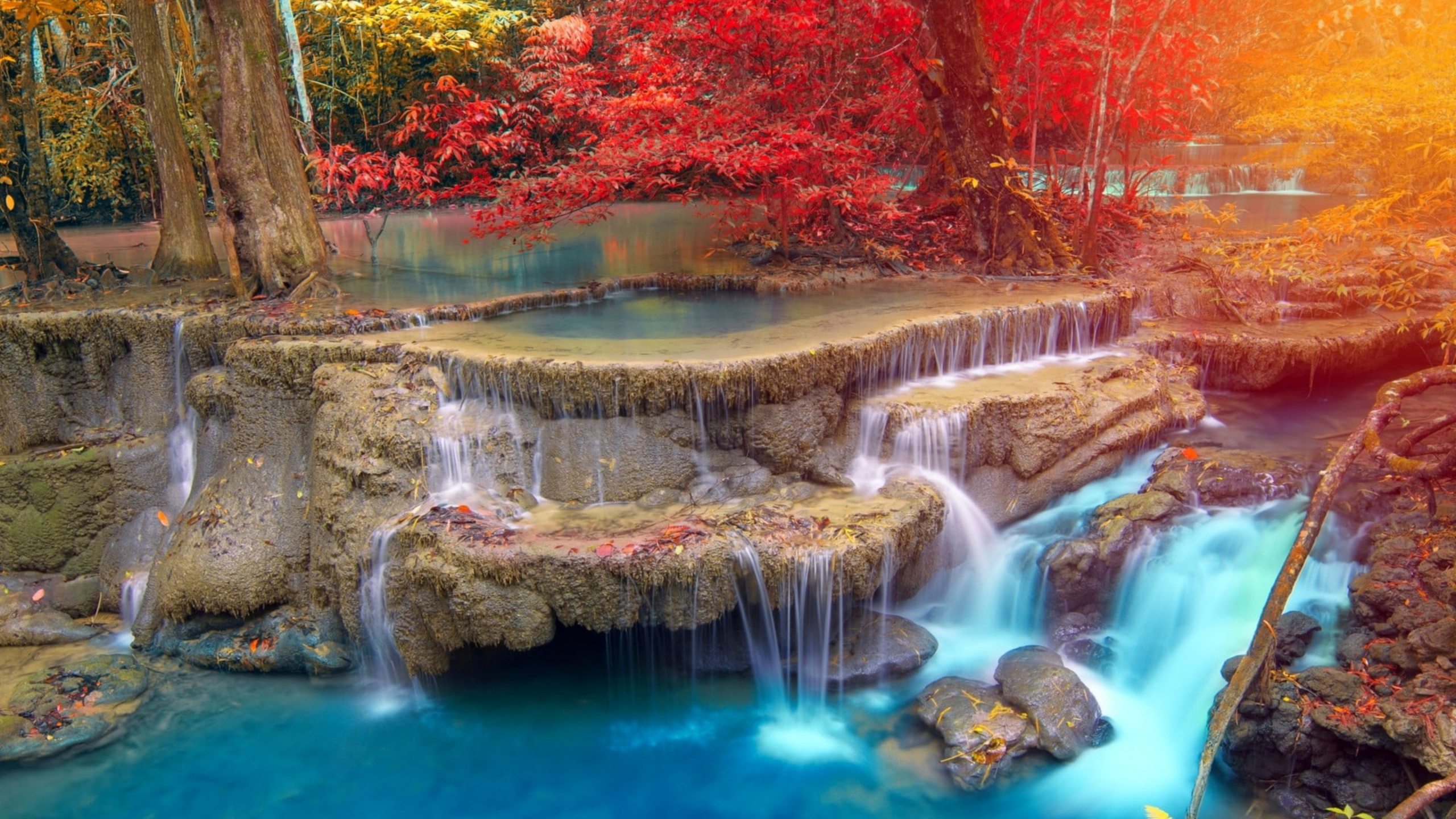 Обои водопад, дерево, вода, растение, гидроресурсы в разрешении 2560x1440