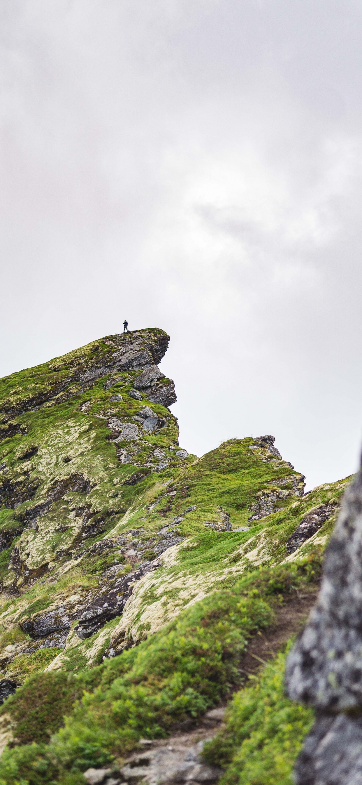 Обои небо, растительность, горный рельеф, зеленый, рок в разрешении 1242x2688