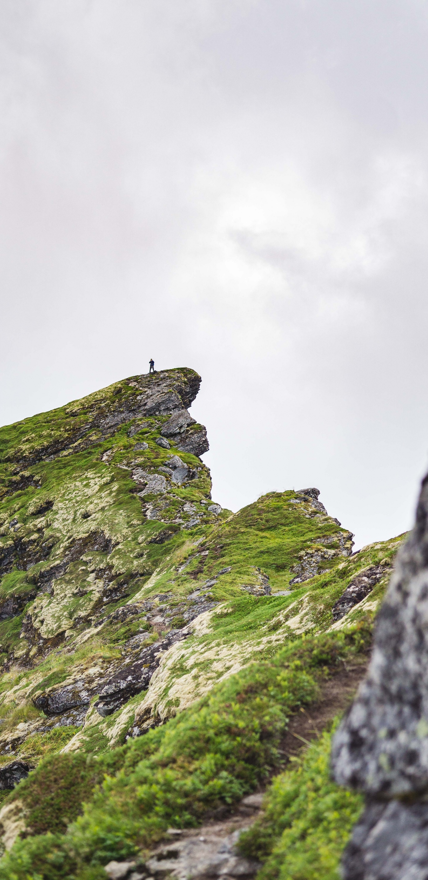 Обои небо, растительность, горный рельеф, зеленый, рок в разрешении 1440x2960