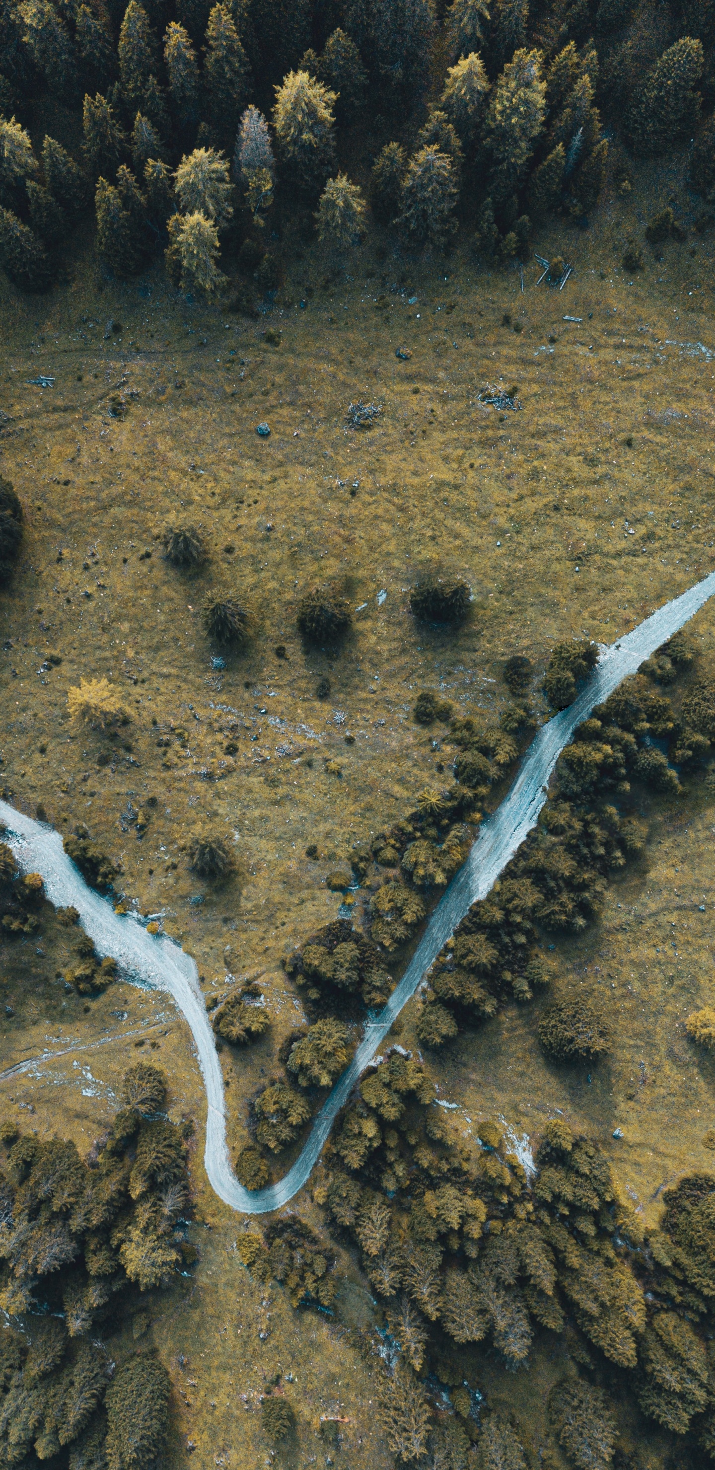 Обои с высоты птичьего полета, почва, вулканическое поле, Земля сверху, земля в разрешении 1440x2960