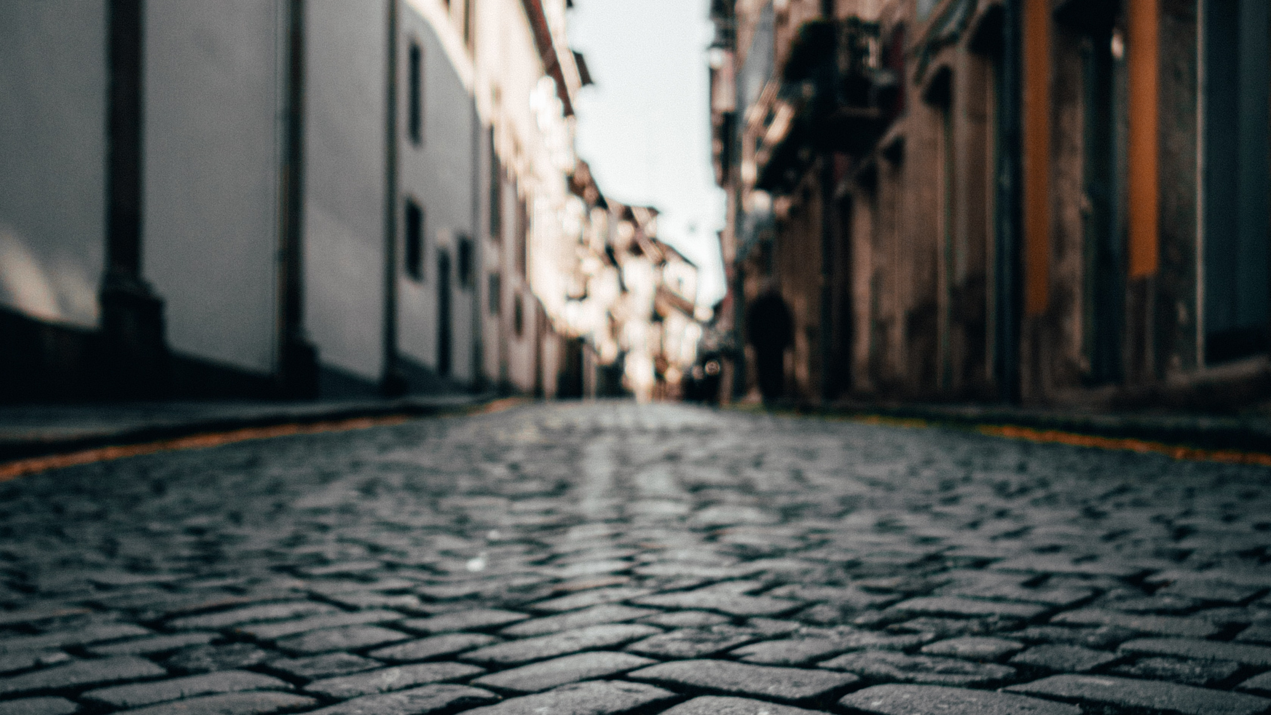 Обои улица, аллея, дорога, городок, инфраструктура в разрешении 2560x1440