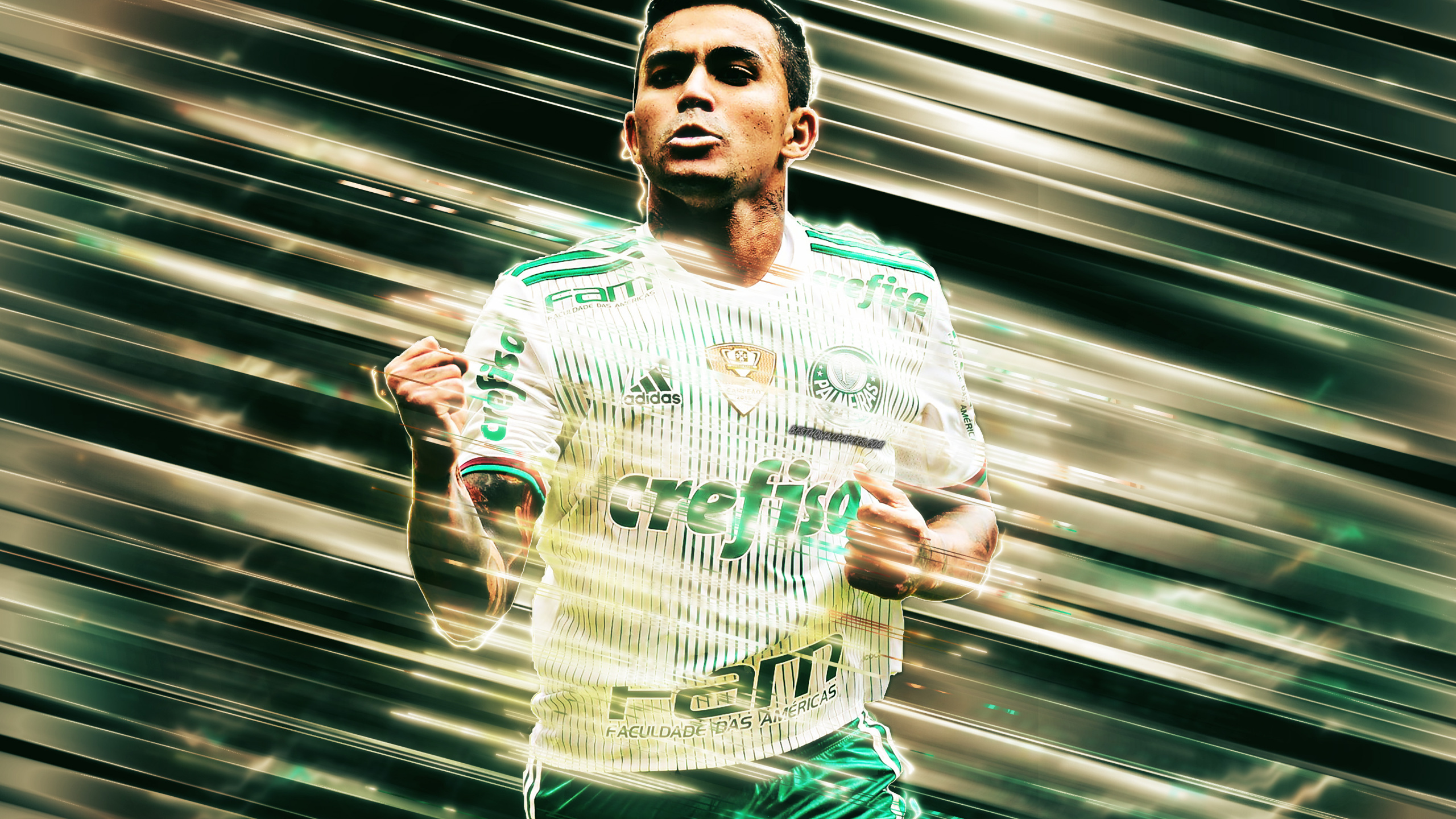 Обои футбол, Диего Марадона, Общество Esportiva Palmeiras В, зеленый, Футбольный игрок в разрешении 2560x1440