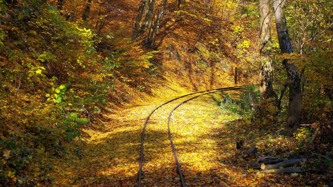 Обои осень, железнодорожный транспорт, трек, лес, природа в разрешении 1280x720
