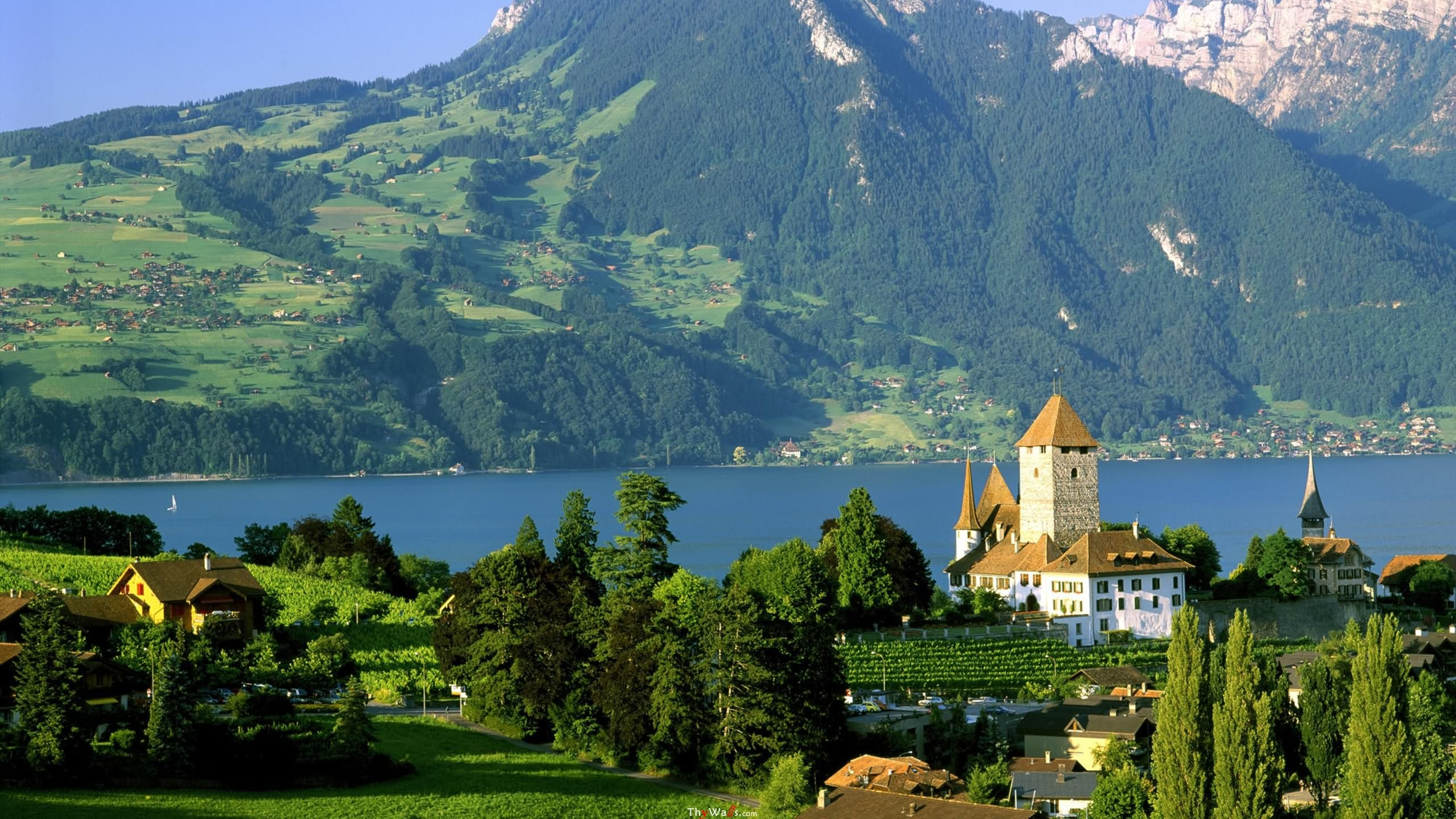 Обои замок шпиц, Шпиц Замок, Интерлакен, Тунское Озеро, замок в разрешении 2560x1440