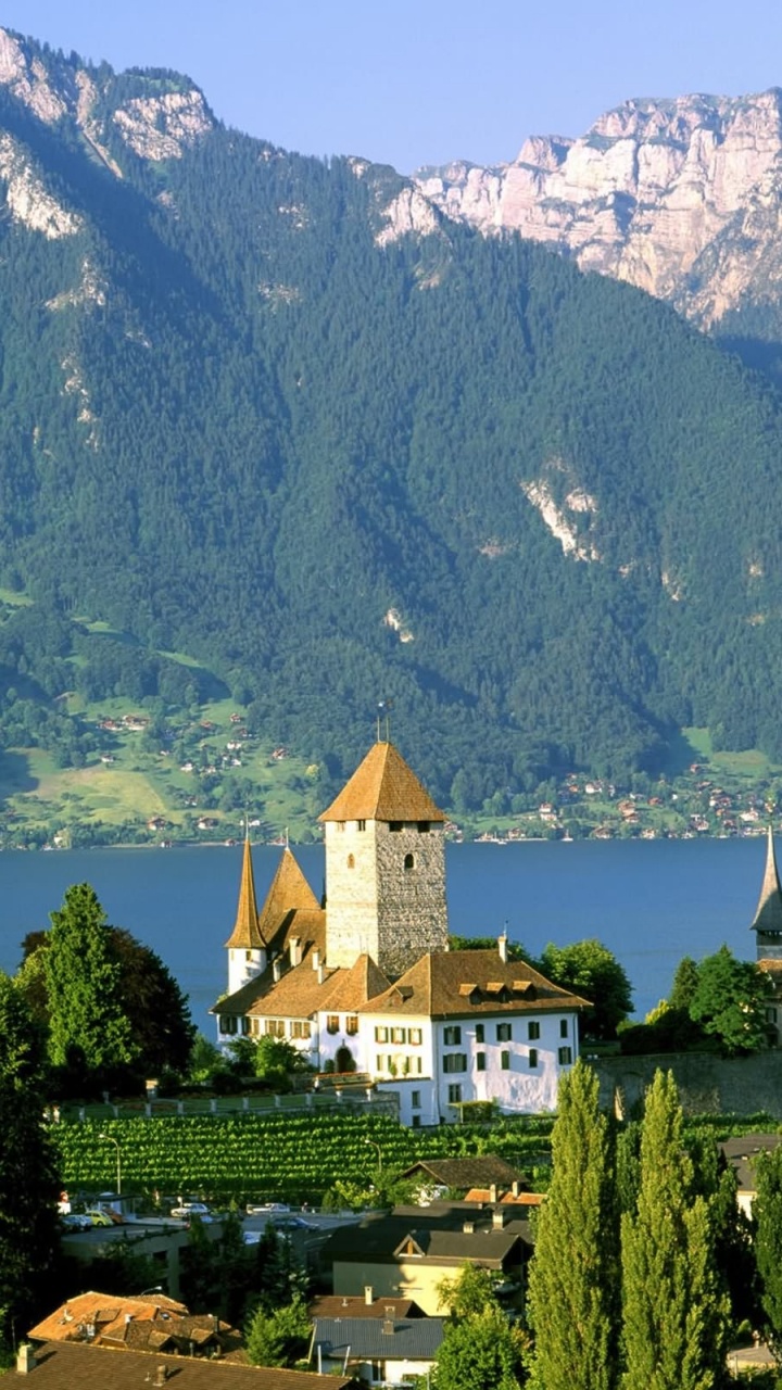Обои замок шпиц, Шпиц Замок, Интерлакен, Тунское Озеро, замок в разрешении 720x1280