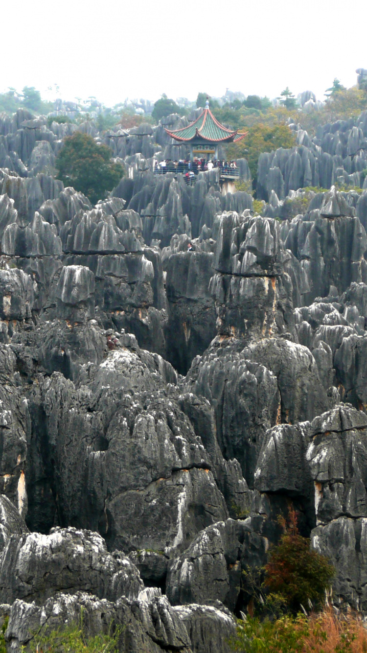 Обои Шилинь каменный лес, карст, Могила НРО ЕР, рок, растительность в разрешении 750x1334