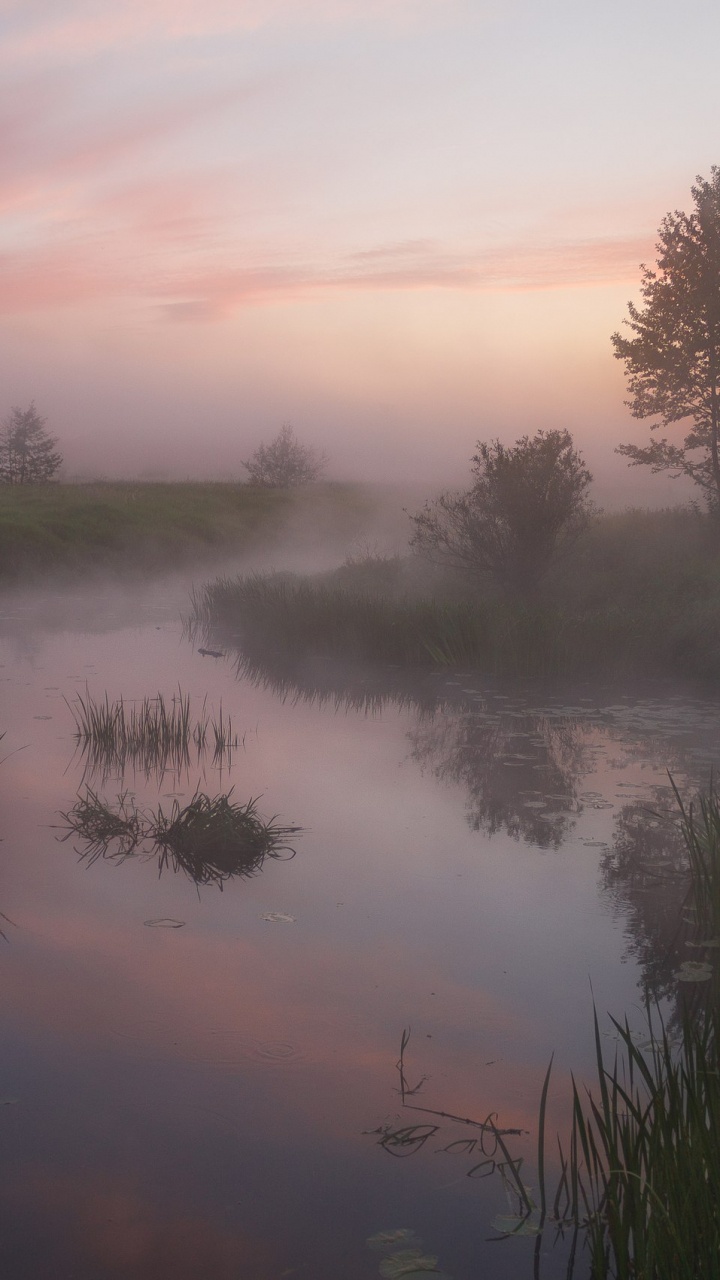 Обои отражение, Дубна, рассвет, пейзажная живопись, природа в разрешении 720x1280
