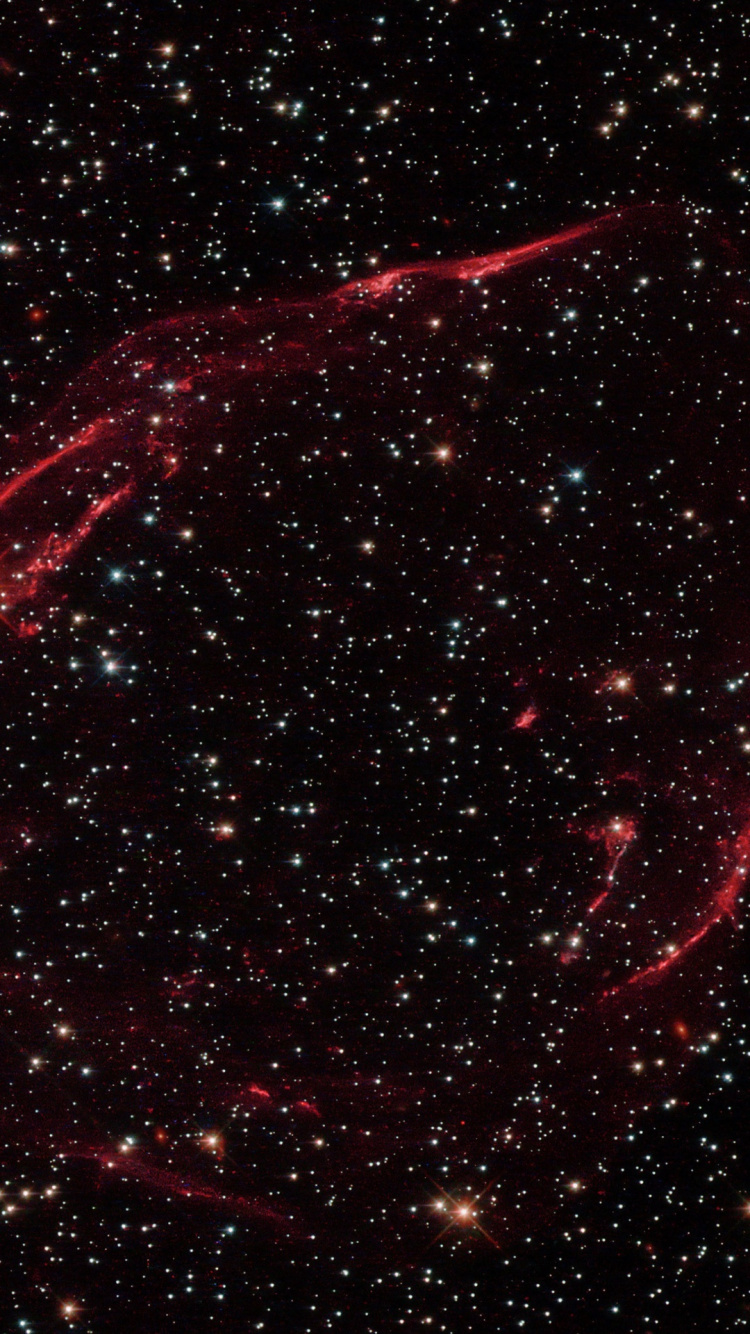 Обои туманность, Xiaomi Mi Mix 3, яблоко, вода, елка в разрешении 750x1334