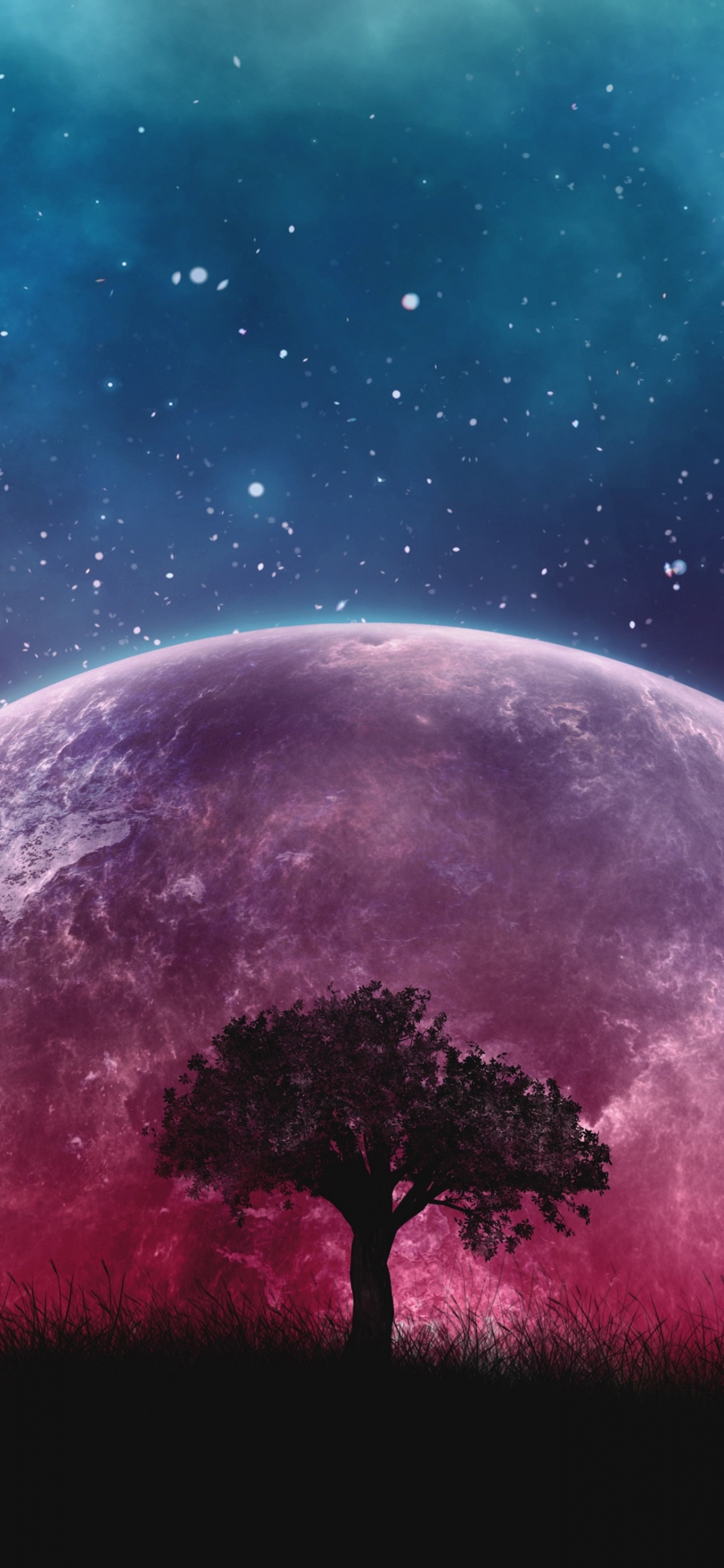 Обои природа, астрономический объект, красочность, атмосфера, природный ландшафт в разрешении 1242x2688