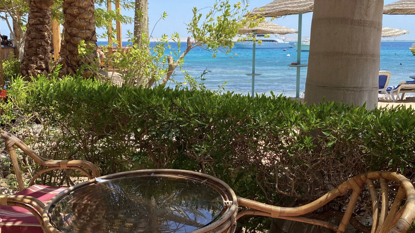 Обои прибежище, недвижимость, пальмовые рощи, древесные растения, уличная мебель в разрешении 1366x768