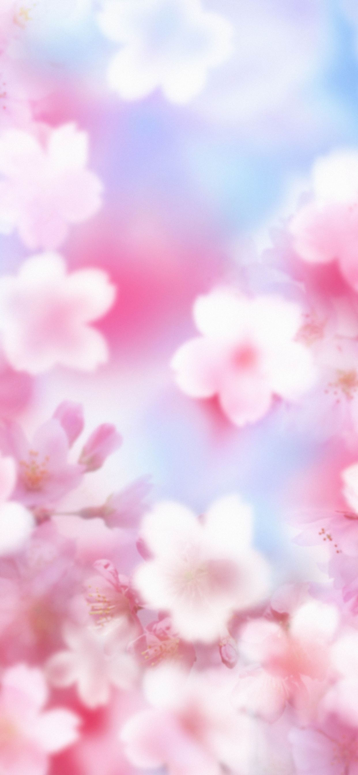 Обои розовый, лепесток, цветок, расцвет, весна в разрешении 1242x2688