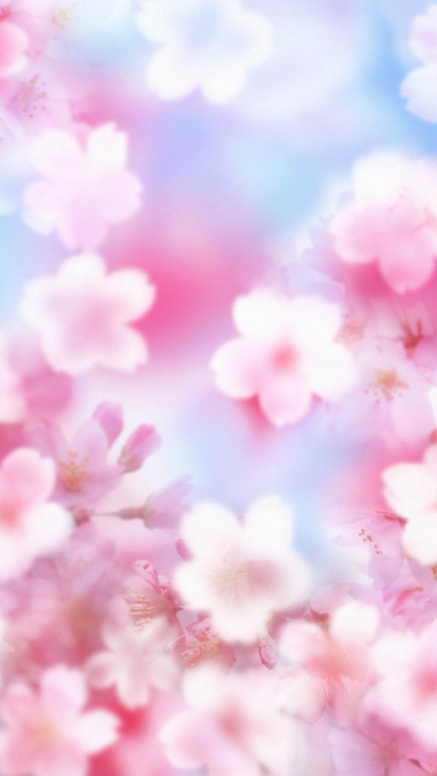 Обои розовый, лепесток, цветок, расцвет, весна в разрешении 1440x2560