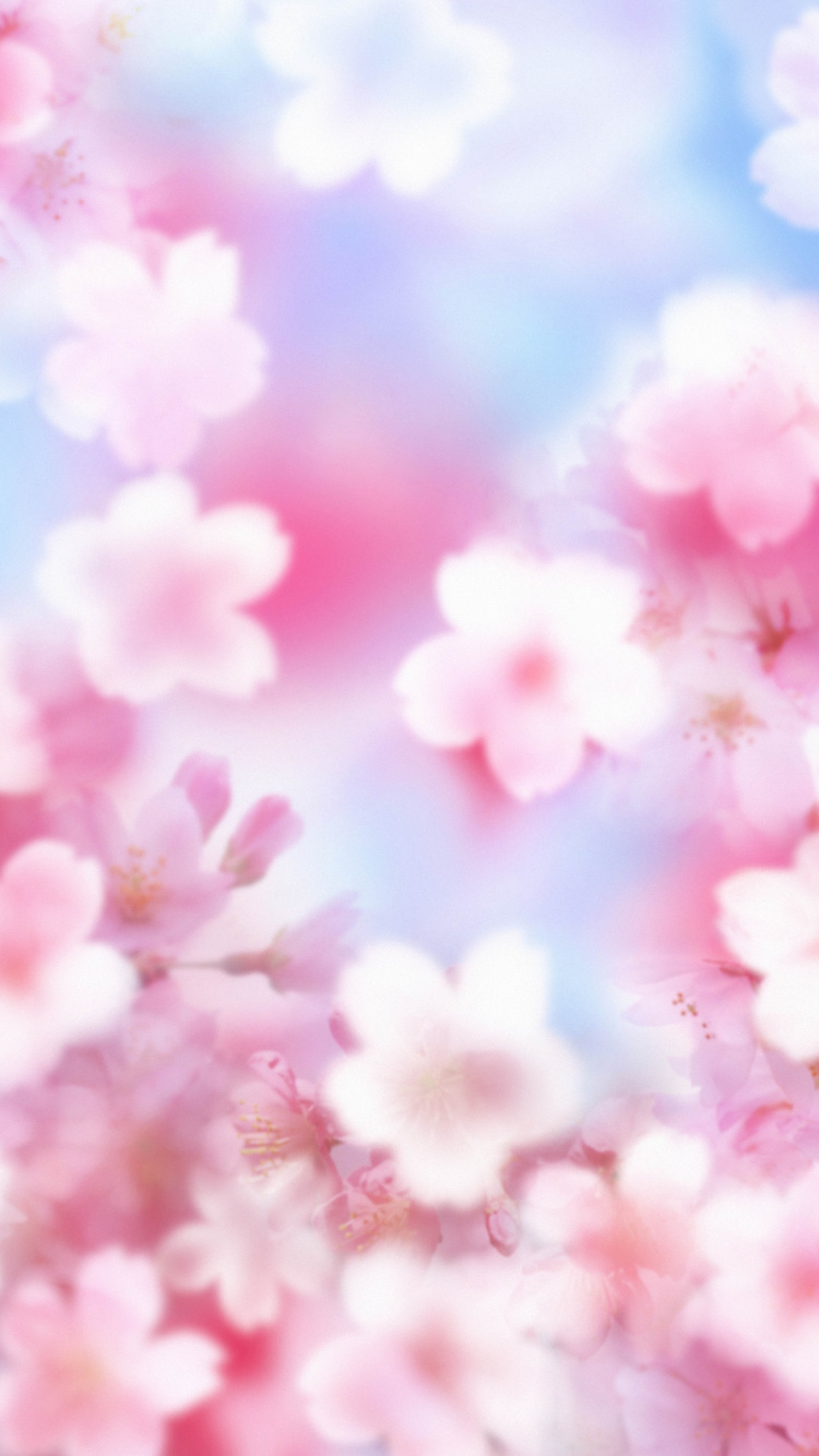 Обои розовый, лепесток, цветок, расцвет, весна в разрешении 750x1334