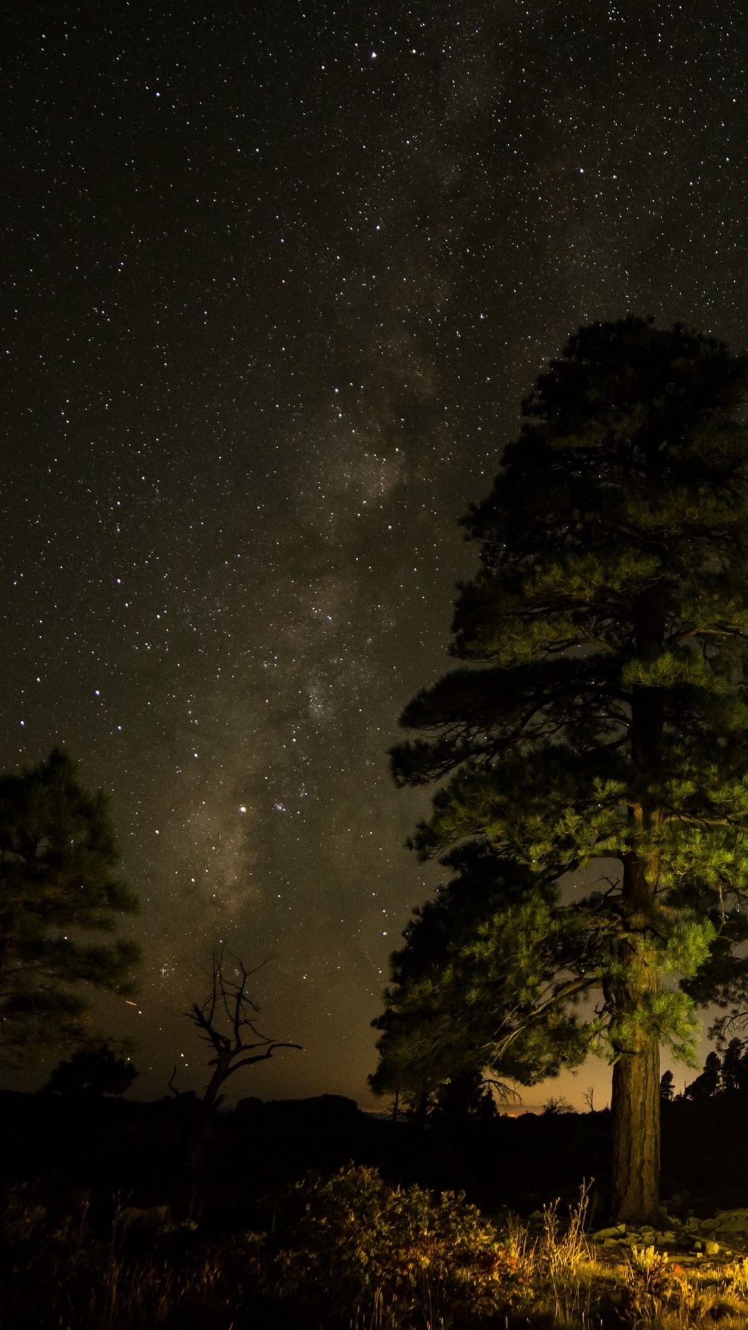 Обои apple, iPhone, iPhone X, яблоко, ios в разрешении 1080x1920