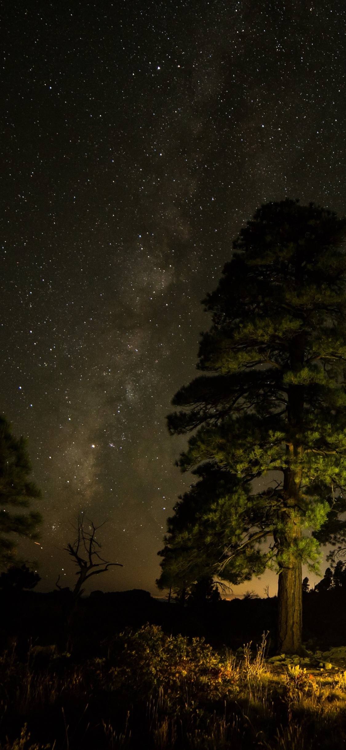 Обои apple, iPhone, iPhone X, яблоко, ios в разрешении 1125x2436