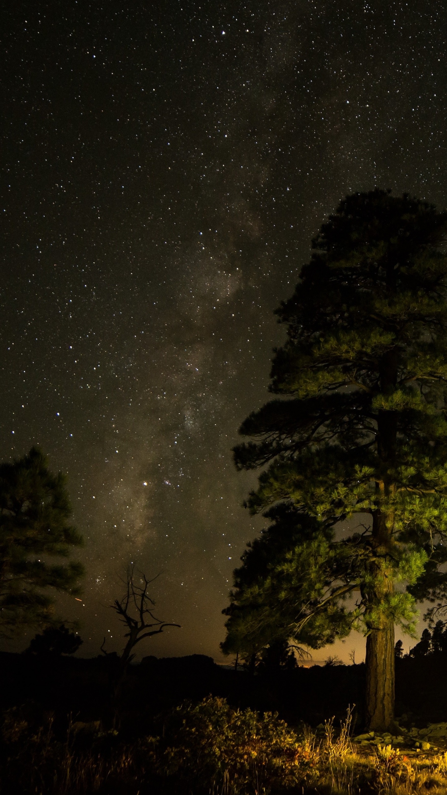 Обои apple, iPhone, iPhone X, яблоко, ios в разрешении 1440x2560