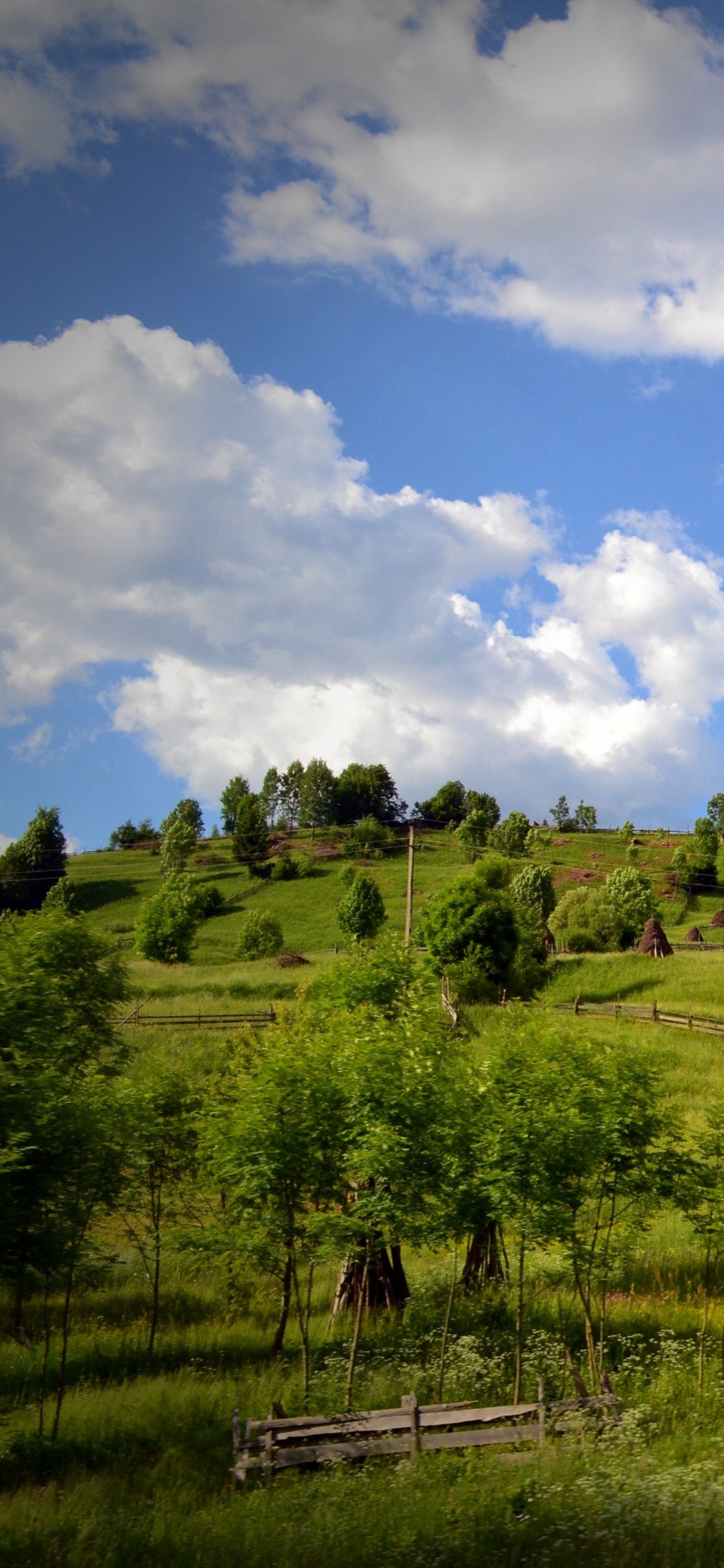 Обои окружающая среда, природный ландшафт, природа, сенокосное угодье, выгон в разрешении 1125x2436