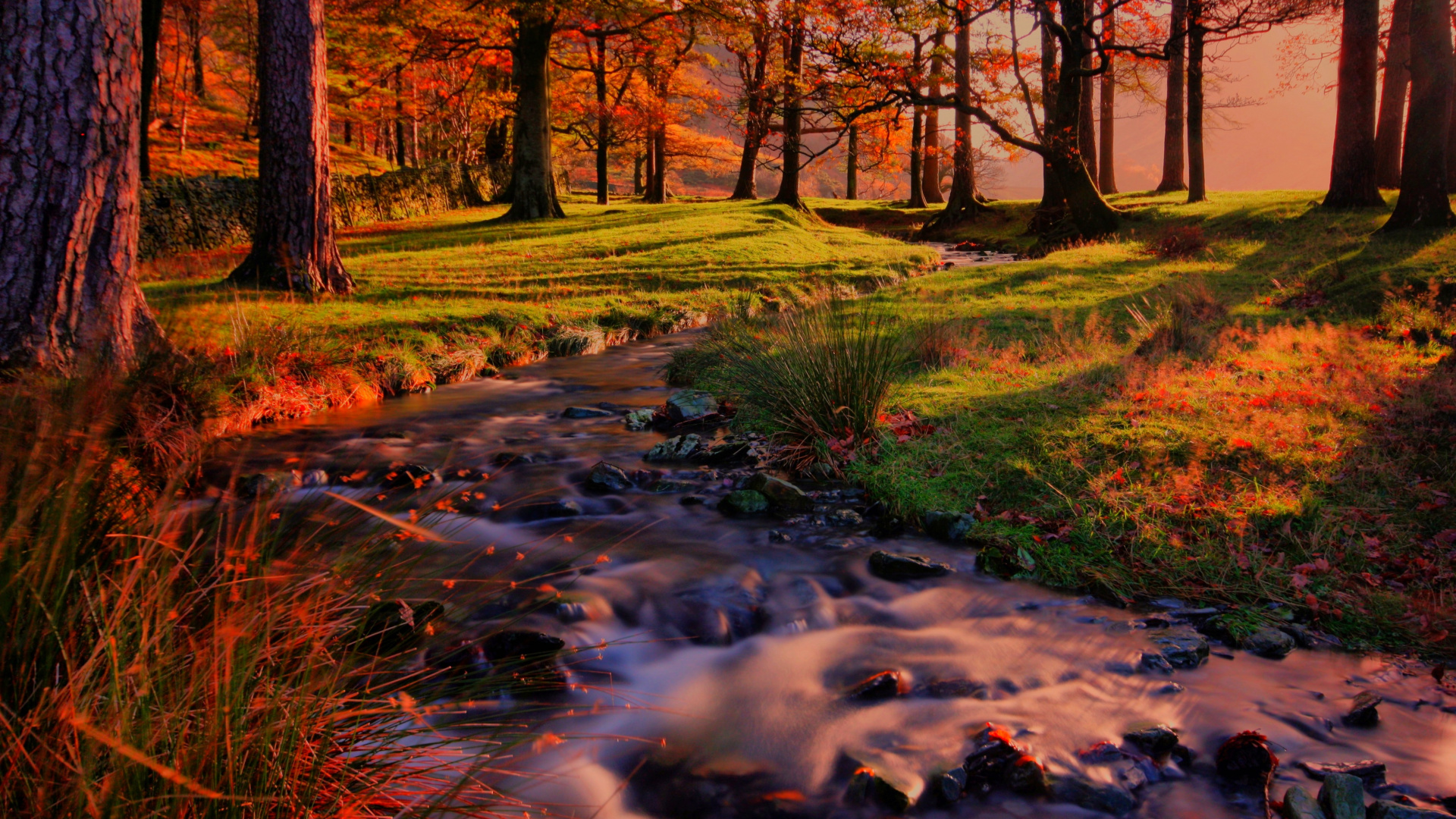 Обои лес закат пейзаж, пейзаж, закат, восход солнца, растение в разрешении 1920x1080