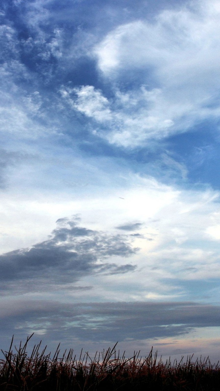 Обои облако, дневное время, атмосфера, горизонт, утро в разрешении 720x1280