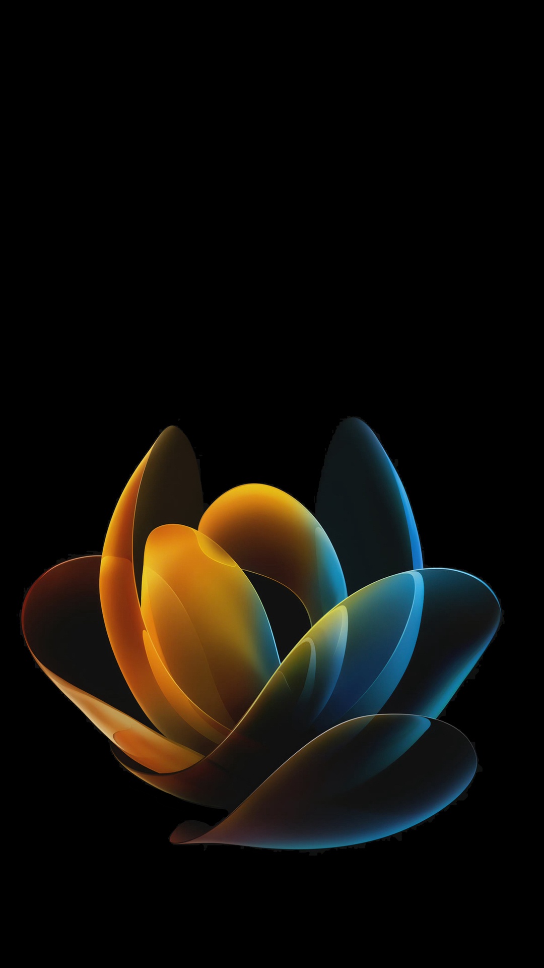 Обои цветок, растение, жидкий, лепесток, жидкость в разрешении 1080x1920