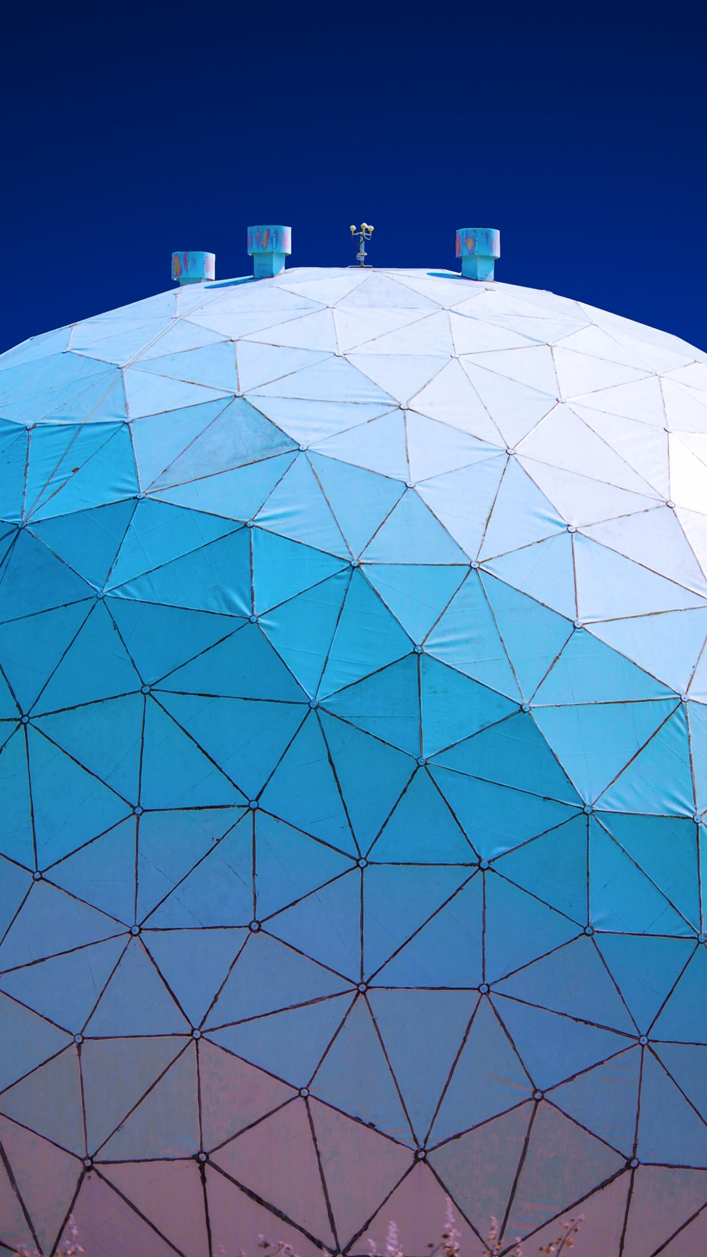 Обои айпад, apple, iPad Air, яблоко, синий в разрешении 1440x2560