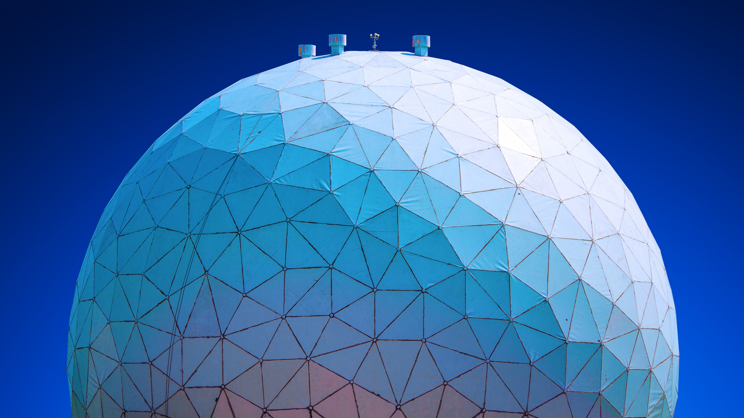 Обои айпад, apple, iPad Air, яблоко, синий в разрешении 2560x1440