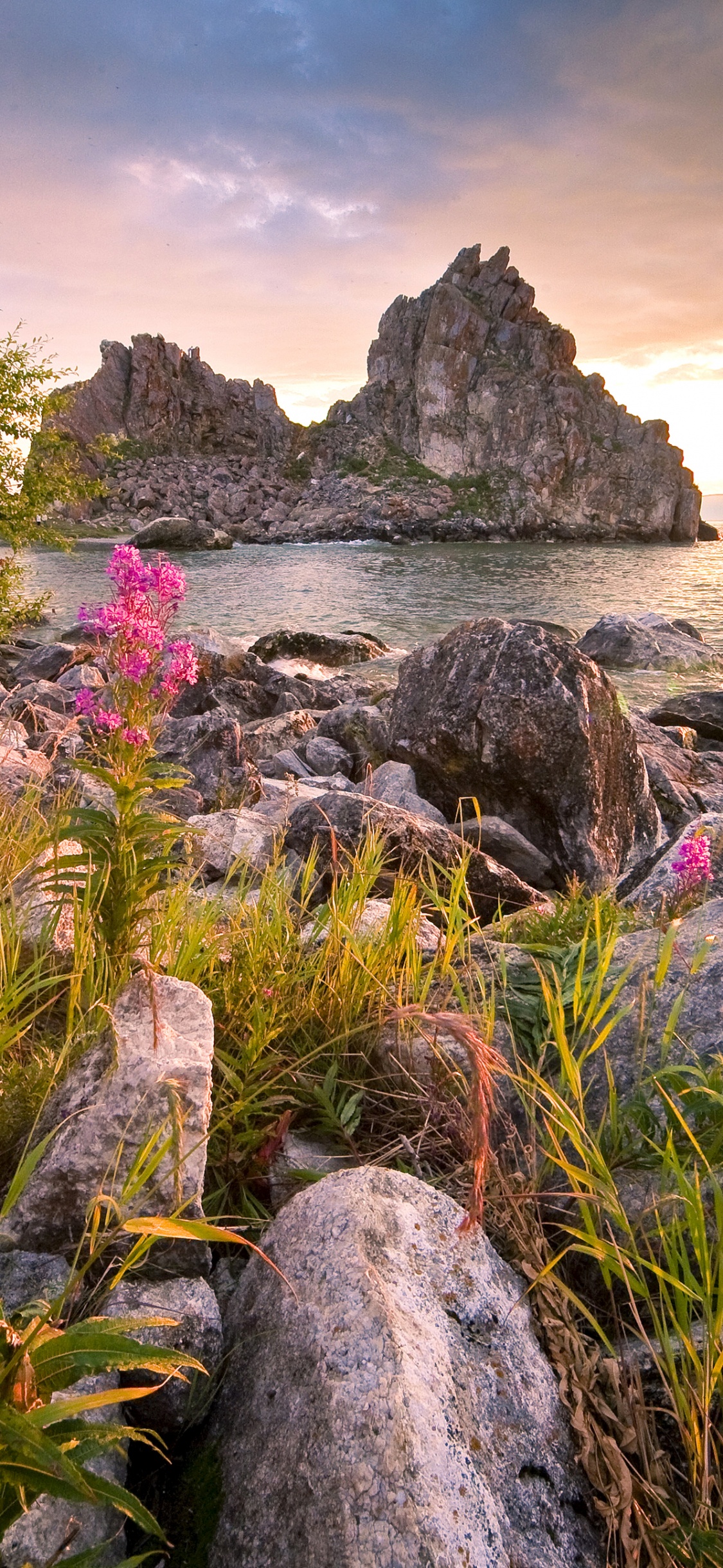 Обои озеро, природа, растительность, рок, цветок в разрешении 1125x2436