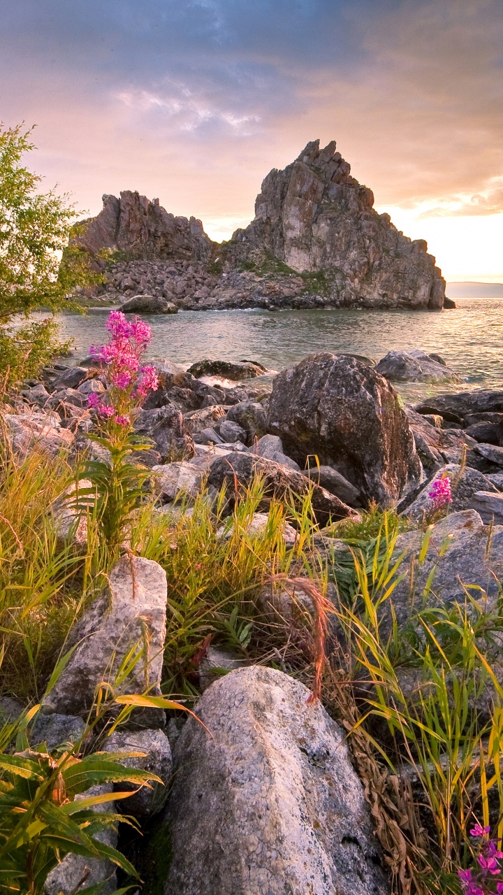 Обои озеро, природа, растительность, рок, цветок в разрешении 720x1280