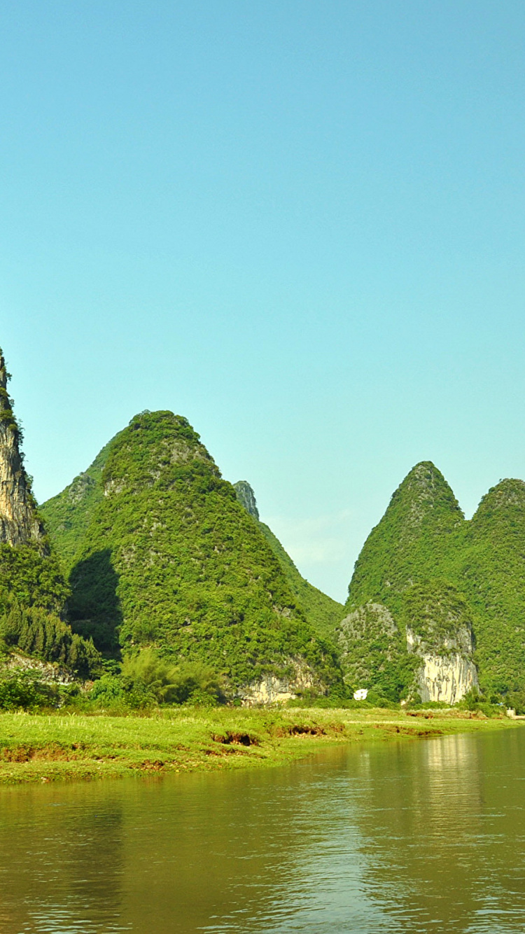 Обои природа, зеленый, растительность, вода, природный заповедник в разрешении 750x1334