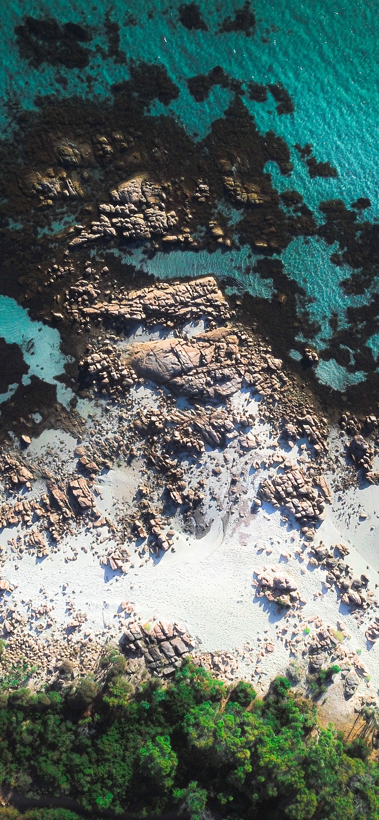 Обои синий, вода, бирюза, море, побережье в разрешении 1242x2688