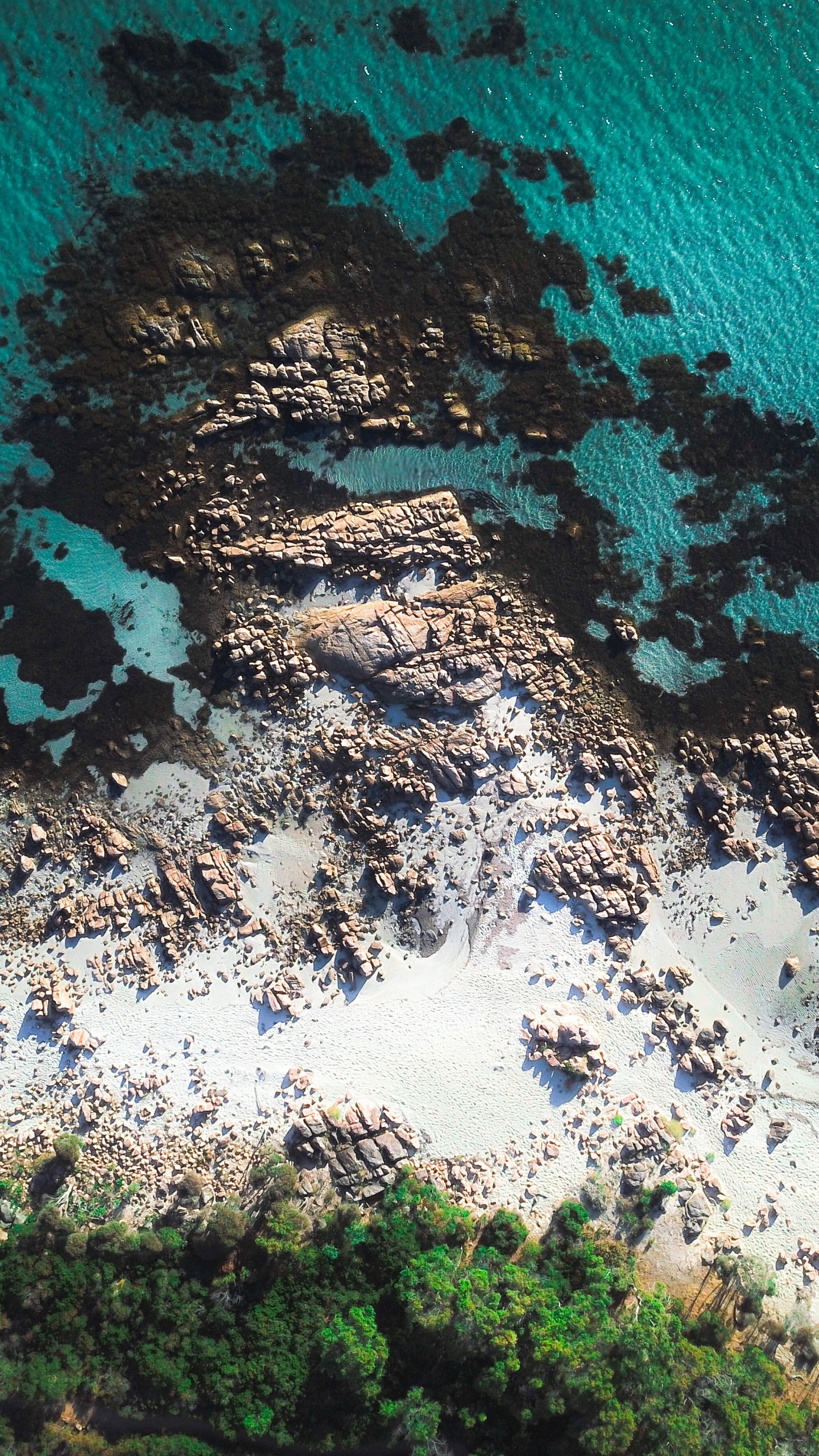 Обои синий, вода, бирюза, море, побережье в разрешении 1440x2560