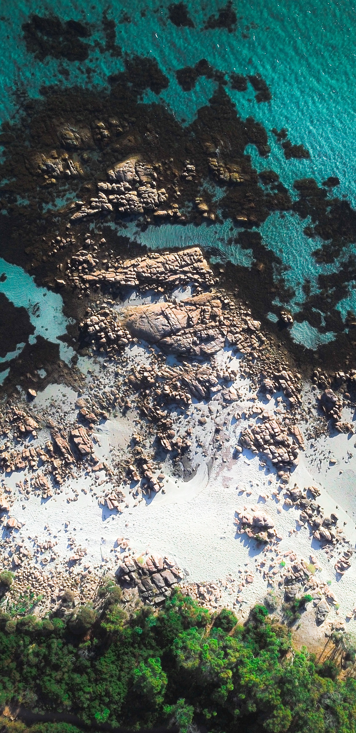 Обои синий, вода, бирюза, море, побережье в разрешении 1440x2960