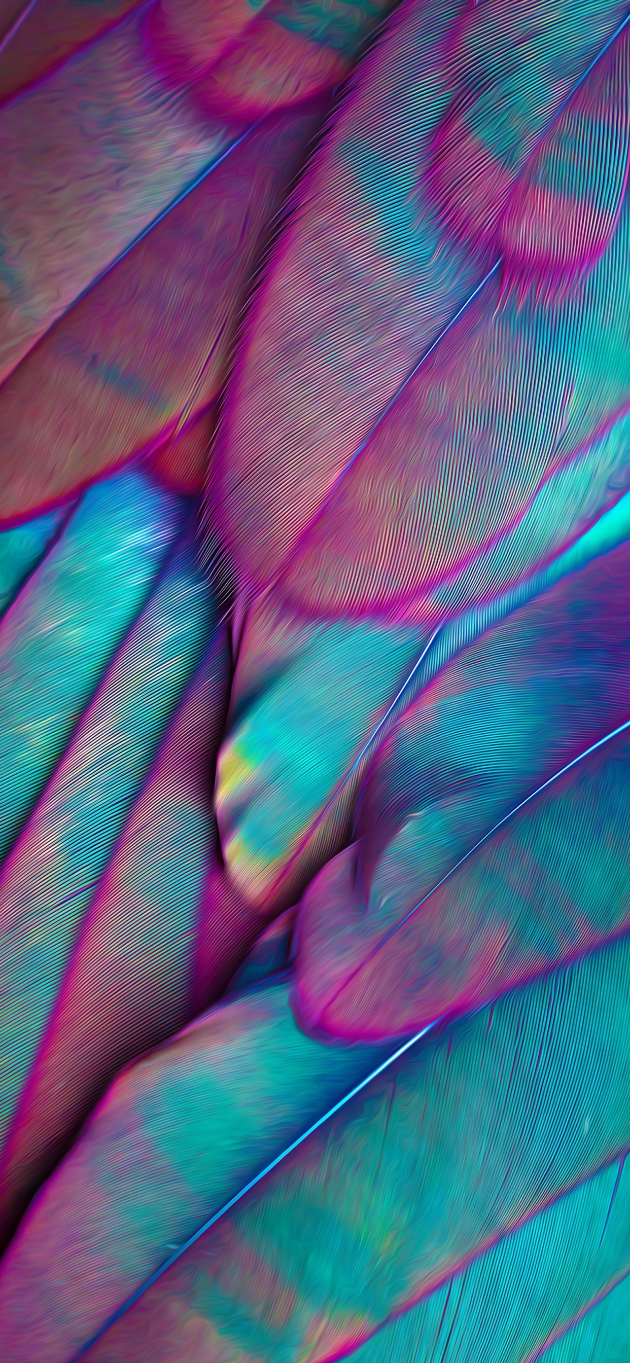 Обои эстетика, пурпур, лепесток, ткань, розовый в разрешении 1242x2688