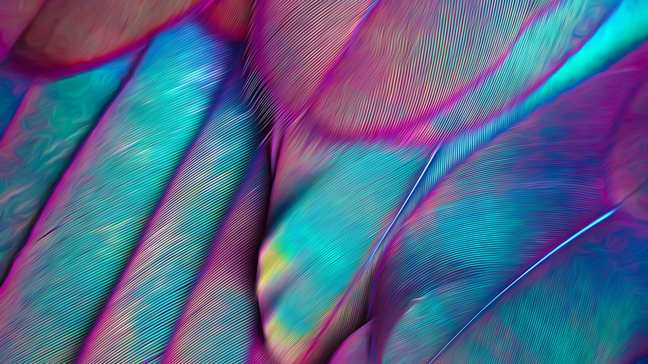 Обои эстетика, пурпур, лепесток, ткань, розовый в разрешении 1280x720