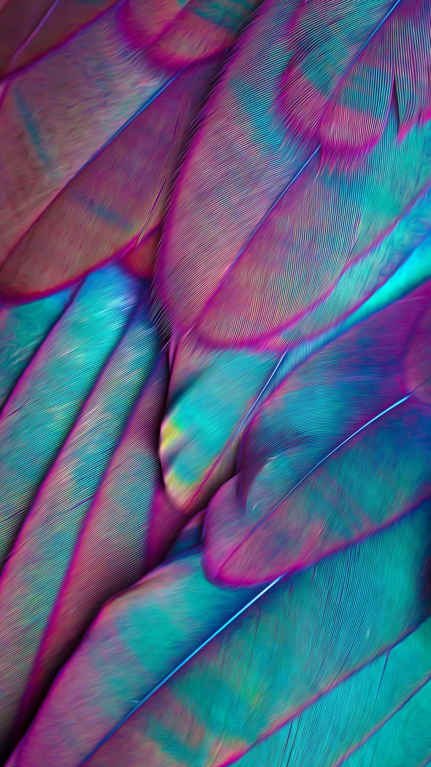 Обои эстетика, пурпур, лепесток, ткань, розовый в разрешении 1440x2560