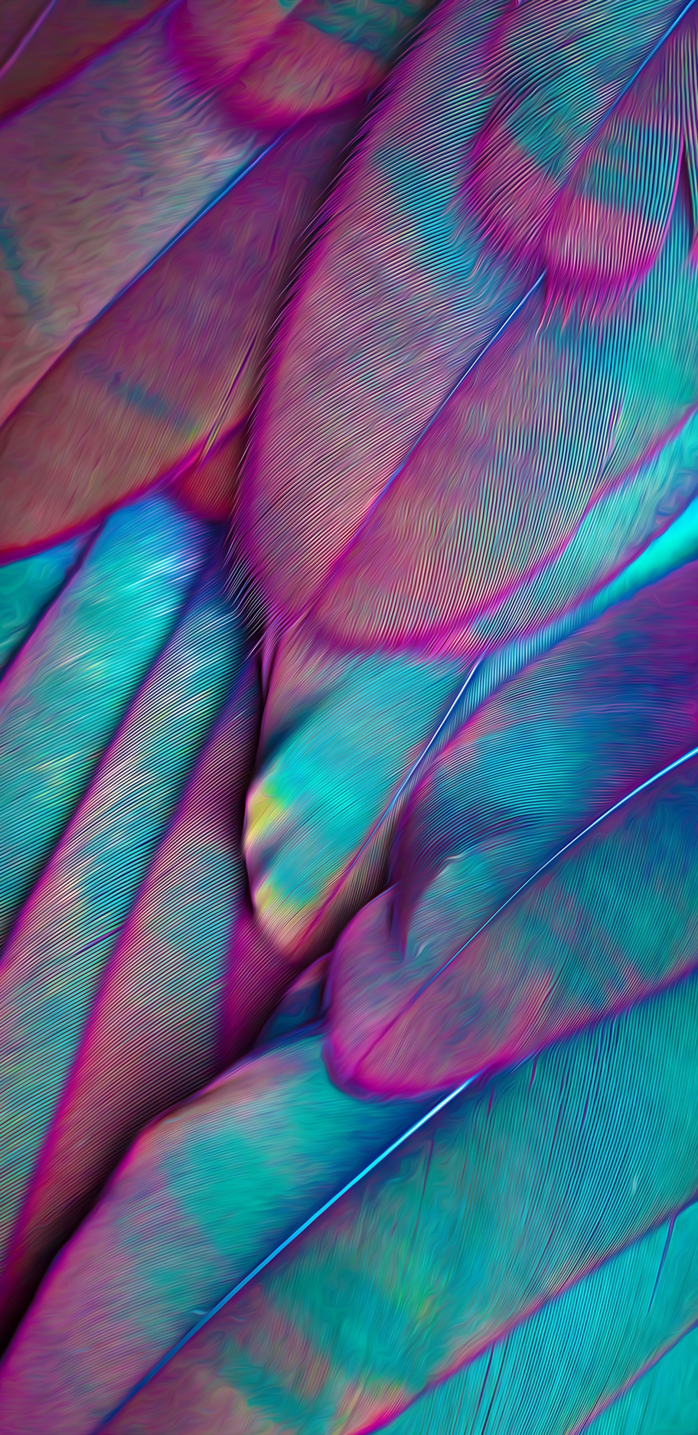 Обои эстетика, пурпур, лепесток, ткань, розовый в разрешении 1440x2960