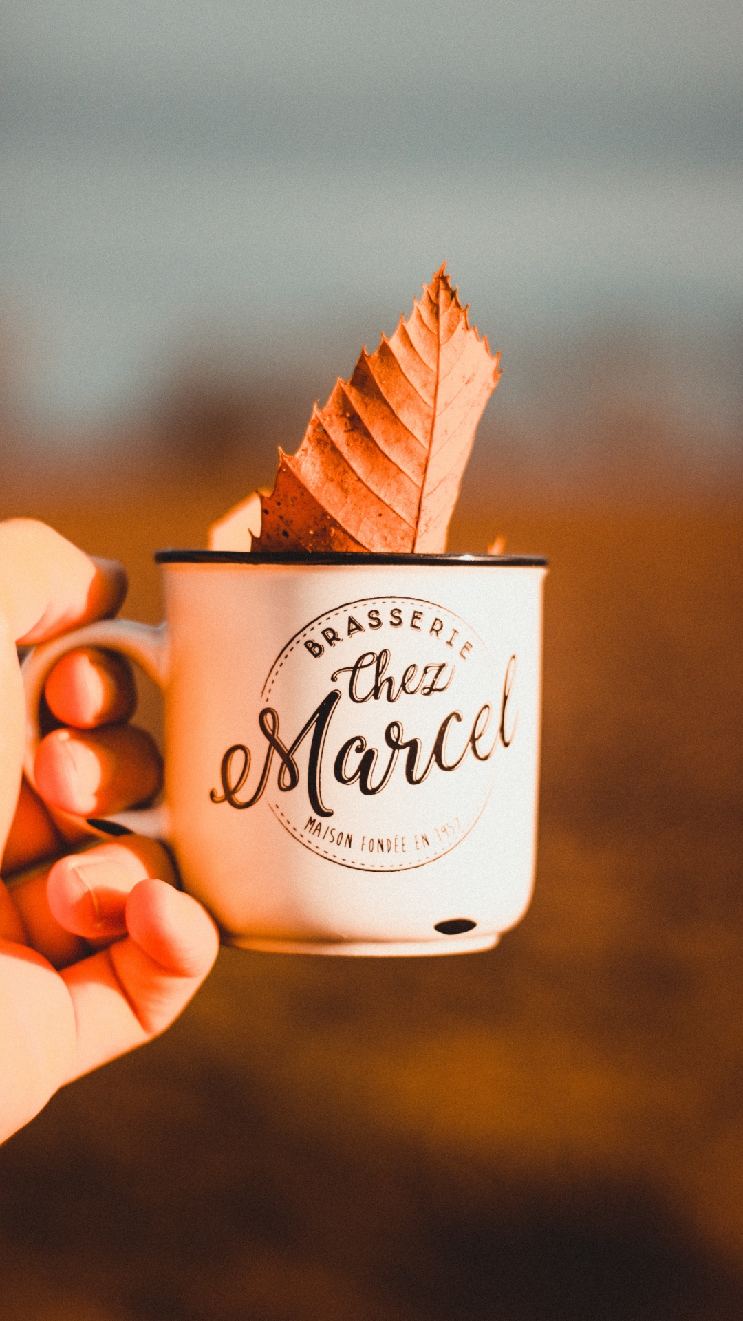 Обои пища, сладость, Мягкий Служить Мороженое, мороженое, замороженный десерт в разрешении 1080x1920