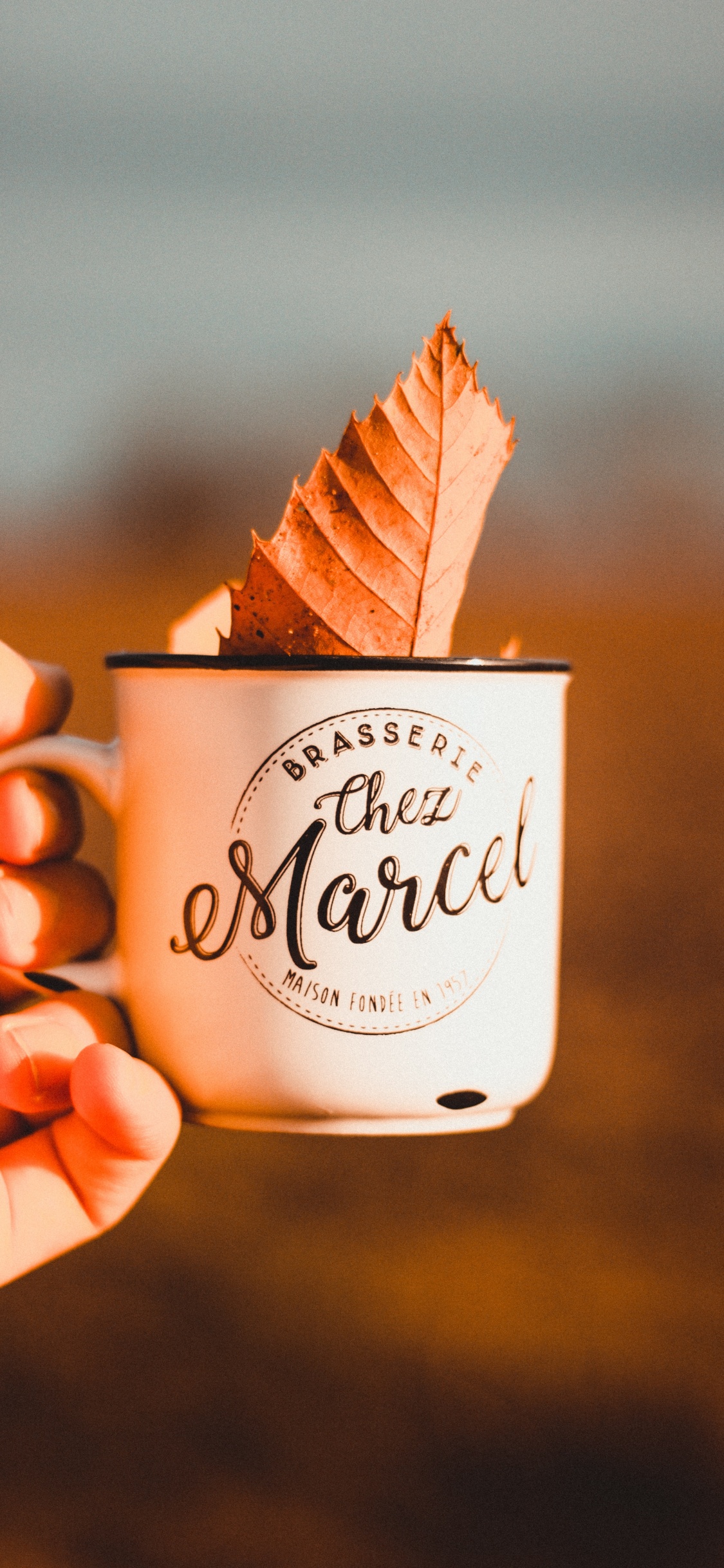 Обои пища, сладость, Мягкий Служить Мороженое, мороженое, замороженный десерт в разрешении 1125x2436