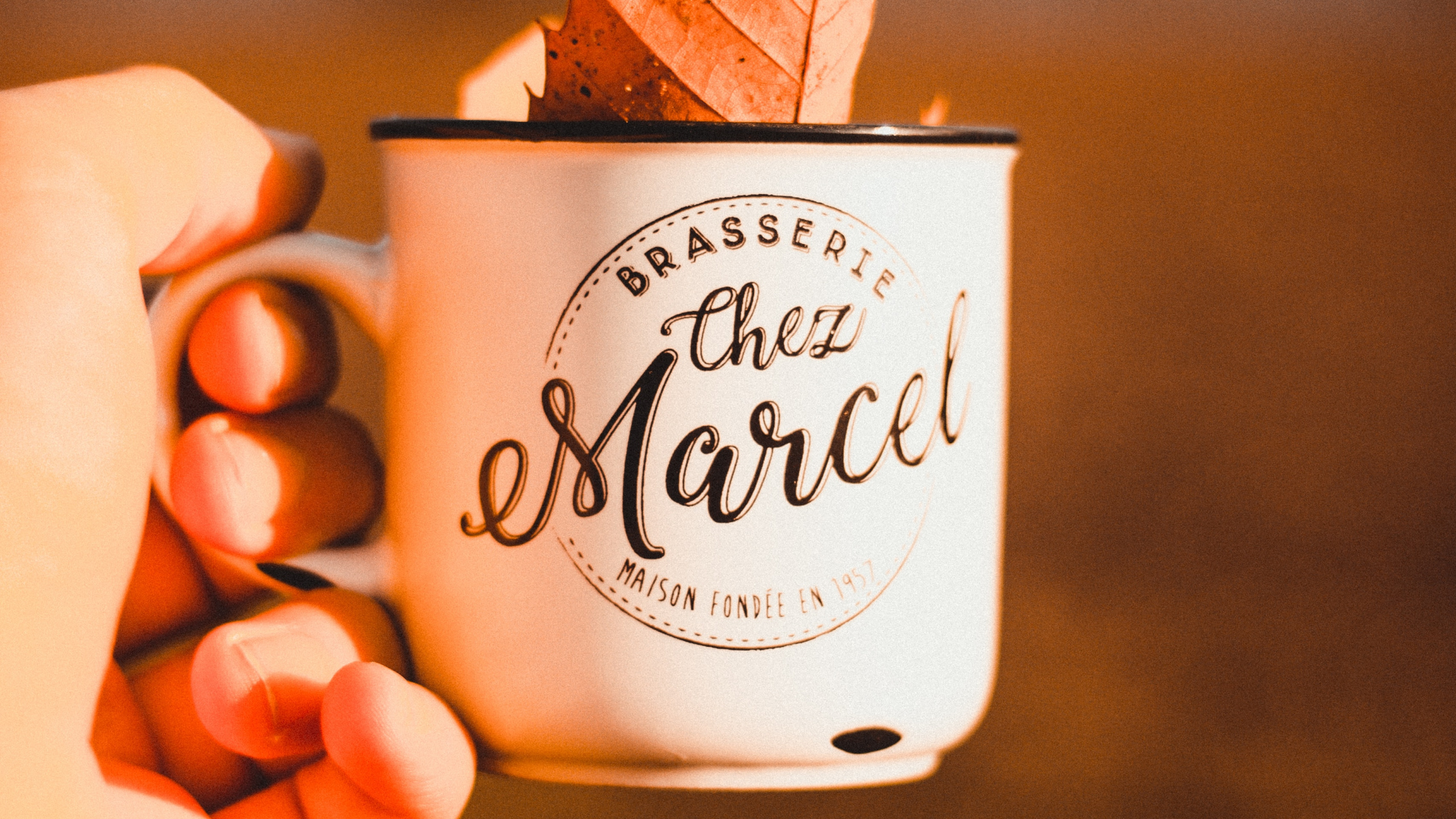 Обои пища, сладость, Мягкий Служить Мороженое, мороженое, замороженный десерт в разрешении 2560x1440