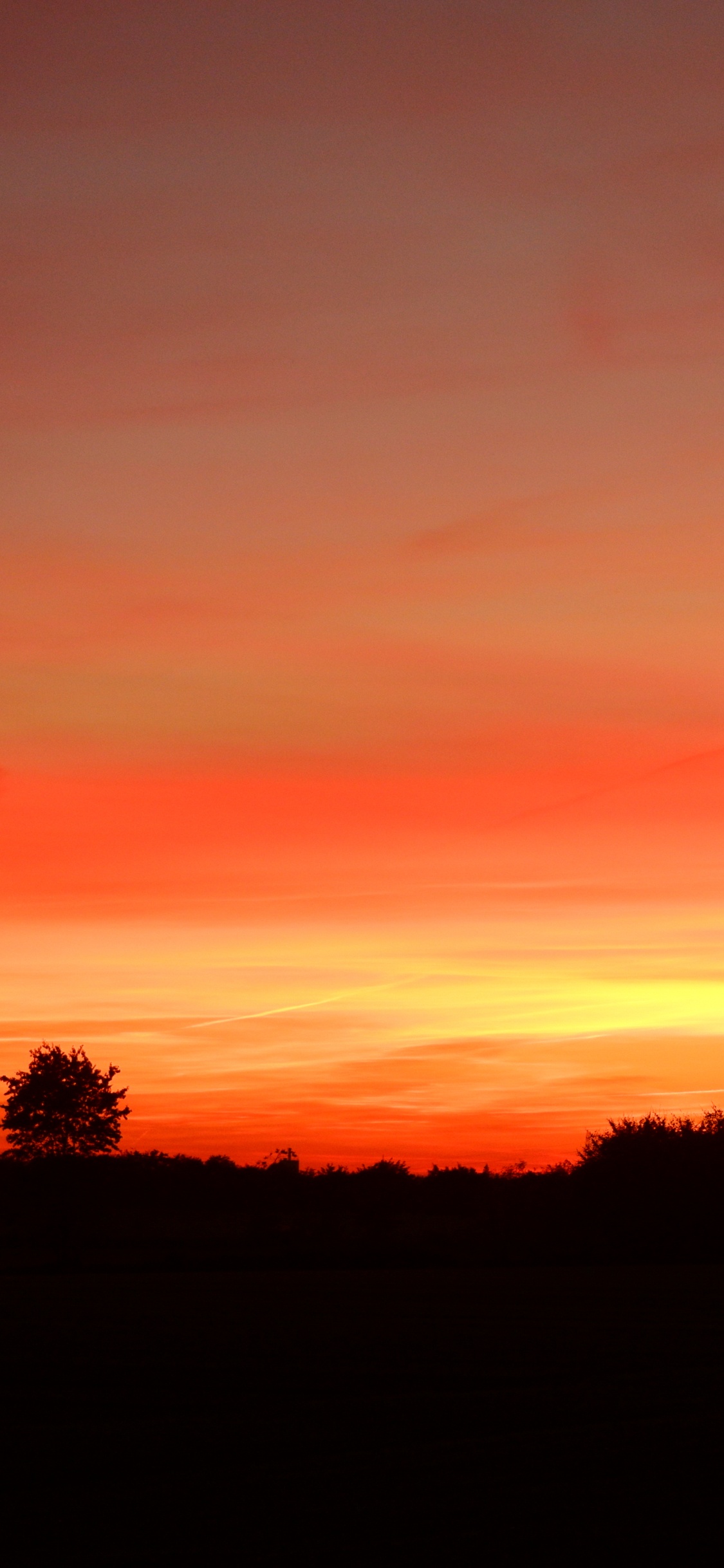 Обои облако, дерево, природный ландшафт, послесвечение, сумрак в разрешении 1125x2436