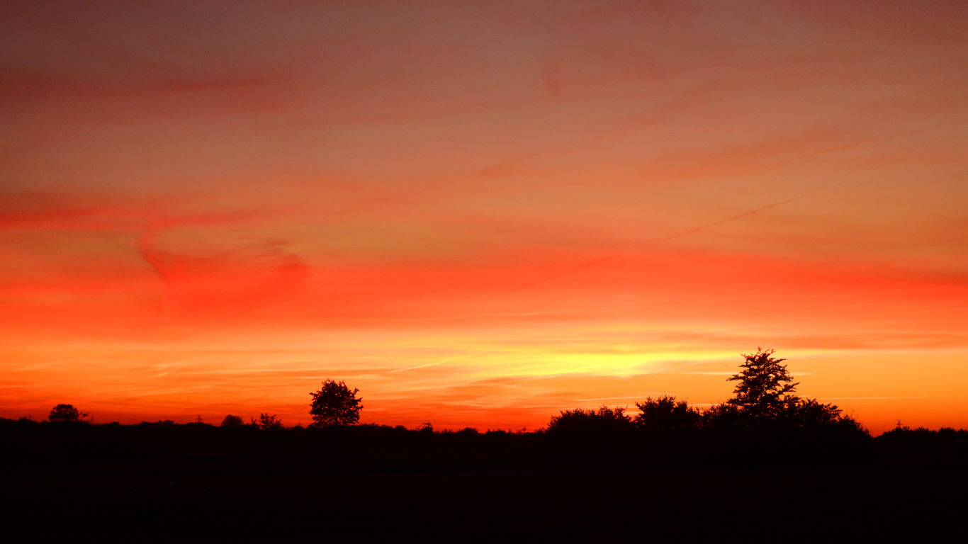 Обои облако, дерево, природный ландшафт, послесвечение, сумрак в разрешении 1366x768
