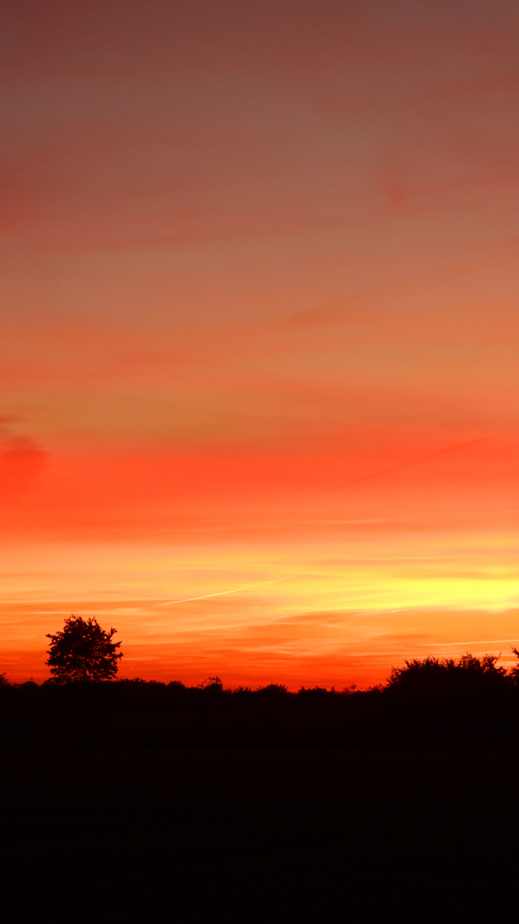 Обои облако, дерево, природный ландшафт, послесвечение, сумрак в разрешении 750x1334