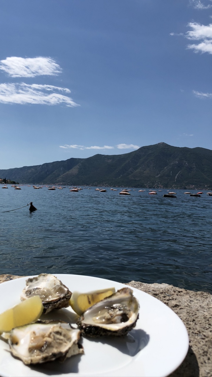 Обои вода, фьорд, горный рельеф, устрица, двустворчатый моллюск в разрешении 720x1280