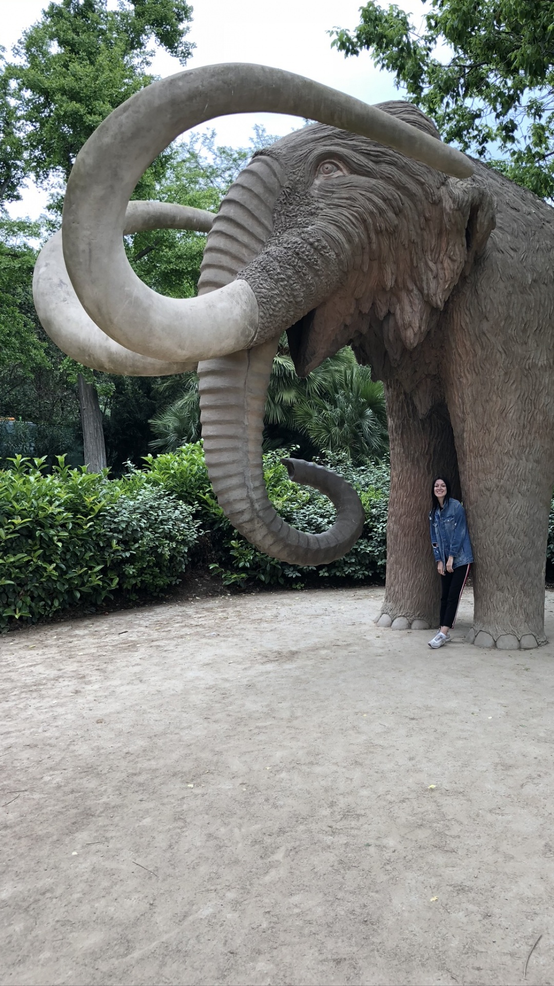 Обои Парк Цитадели, наземные животные, индийский слон, Слон, слоны и мамонты в разрешении 1080x1920